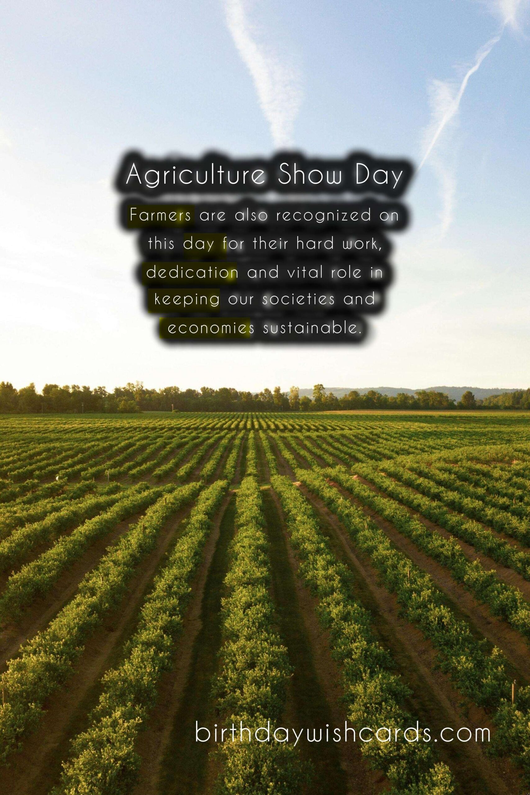 March 8 - Agriculture Show Day