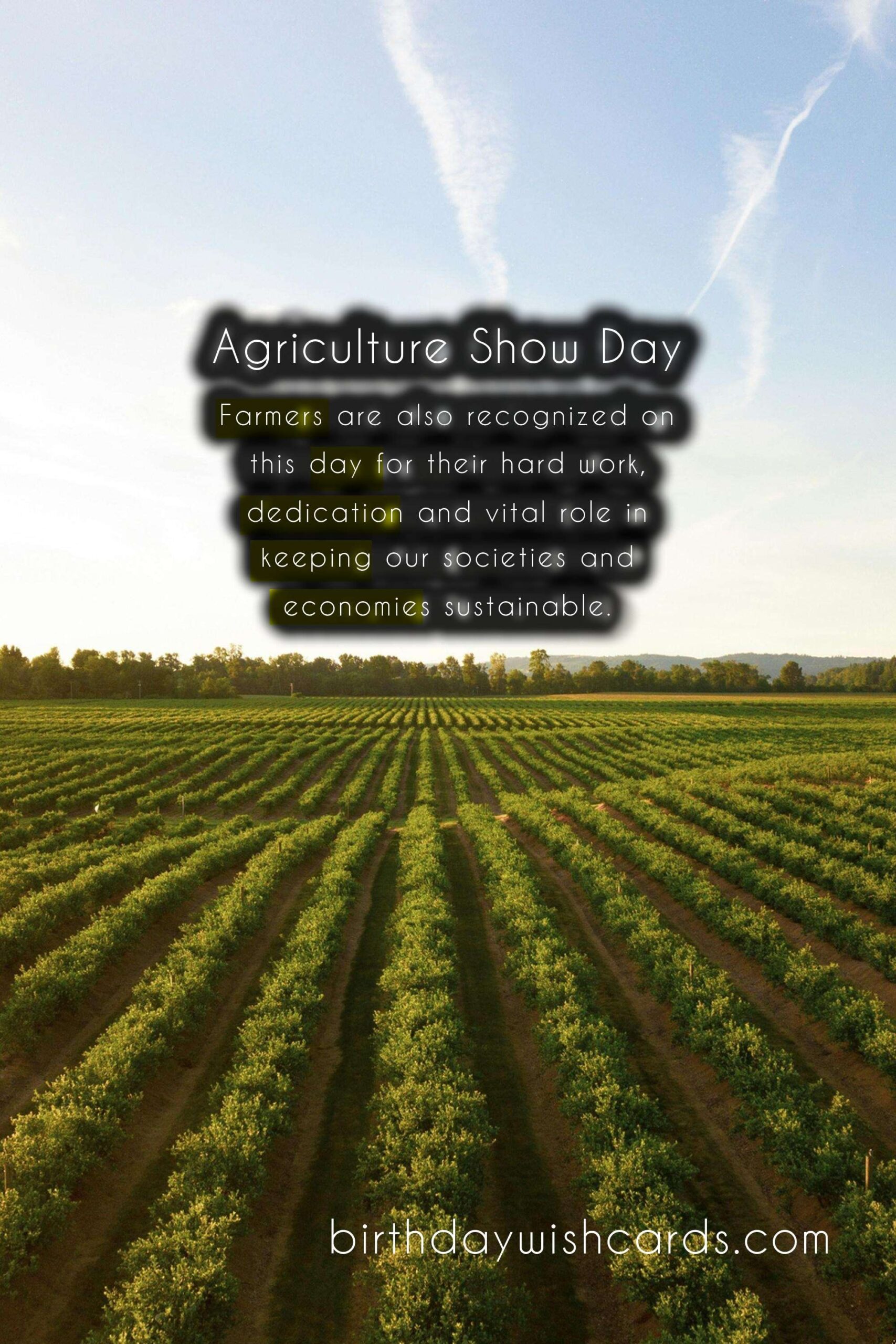 March 8 - Agriculture Show Day