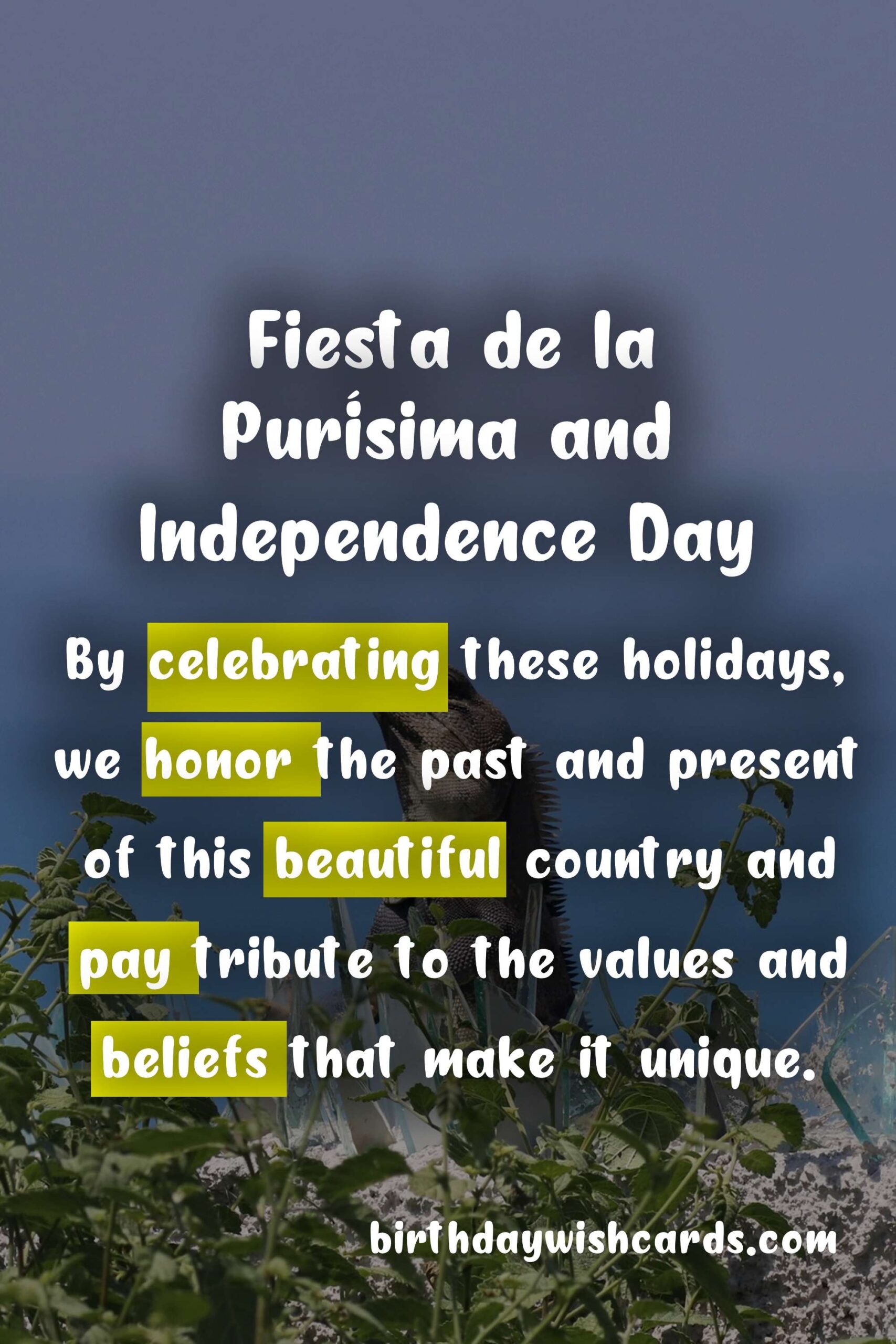 Birthday Wish Cards | Fiesta de la Purísima and Independence Day: A Celebration of Faith and Freedom in Mexico