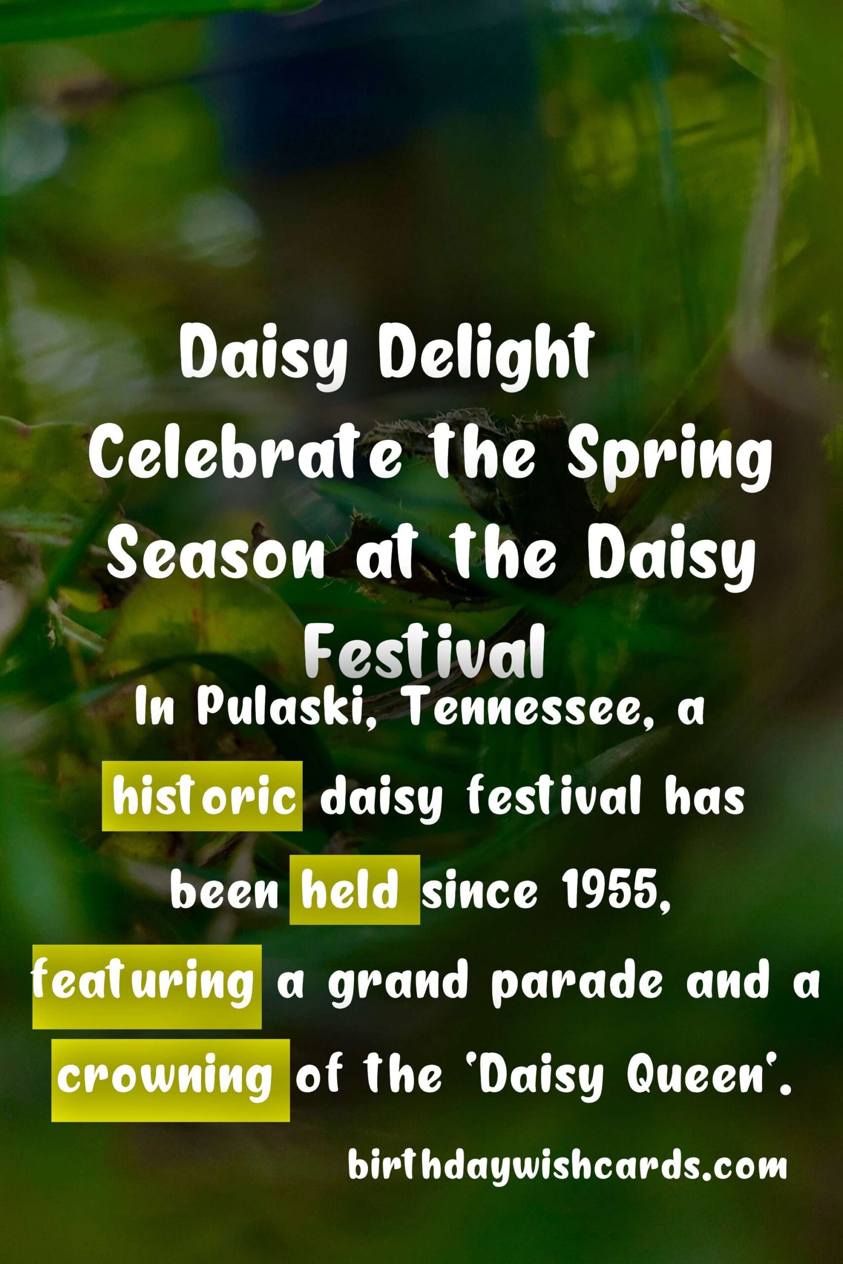 Birthday Wish Cards | Celebrate the Spring Season with the Joyous Daisy Festival