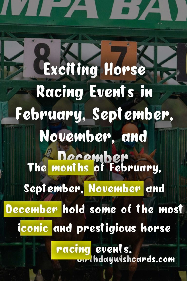 Horse Racing in February, September, November and December: A Look at the Exciting Race Schedule