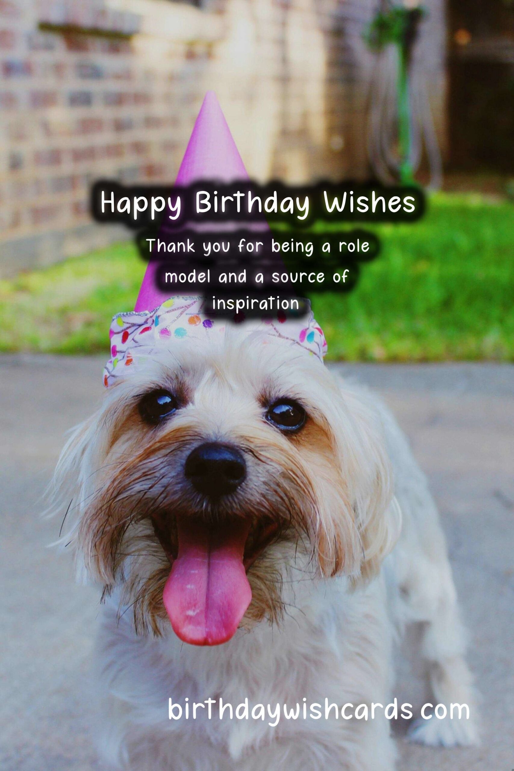 Airy Birthday Wishes: Soaring High with Dreams and Inspiration