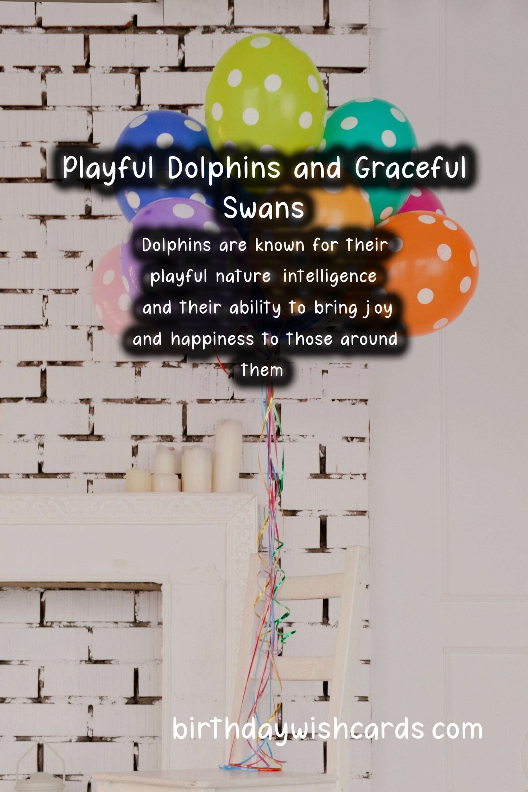 August Birthday Wishes: Playful Dolphins and Graceful Swans