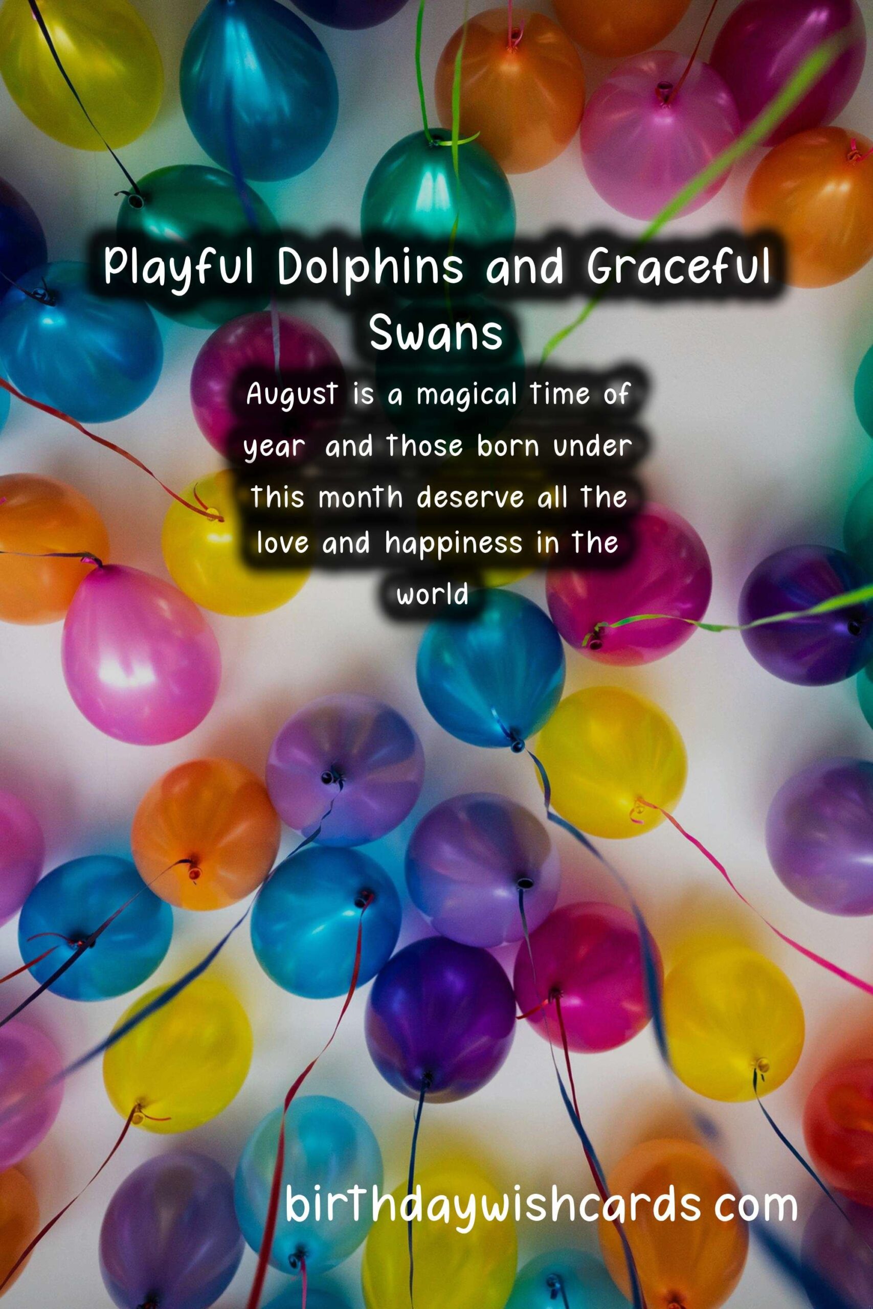 August Birthday Wishes: Playful Dolphins and Graceful Swans