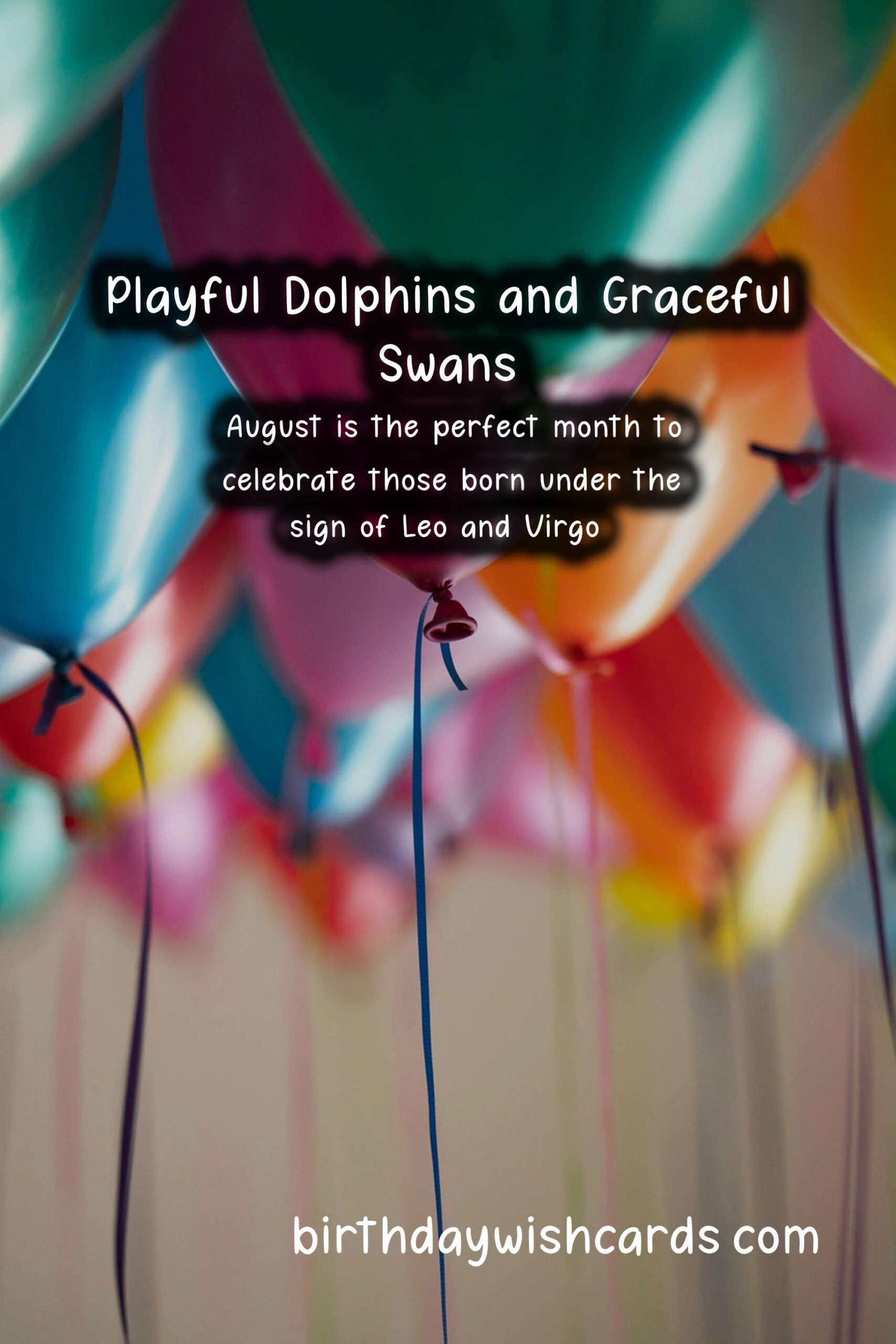 August Birthday Wishes: Playful Dolphins and Graceful Swans