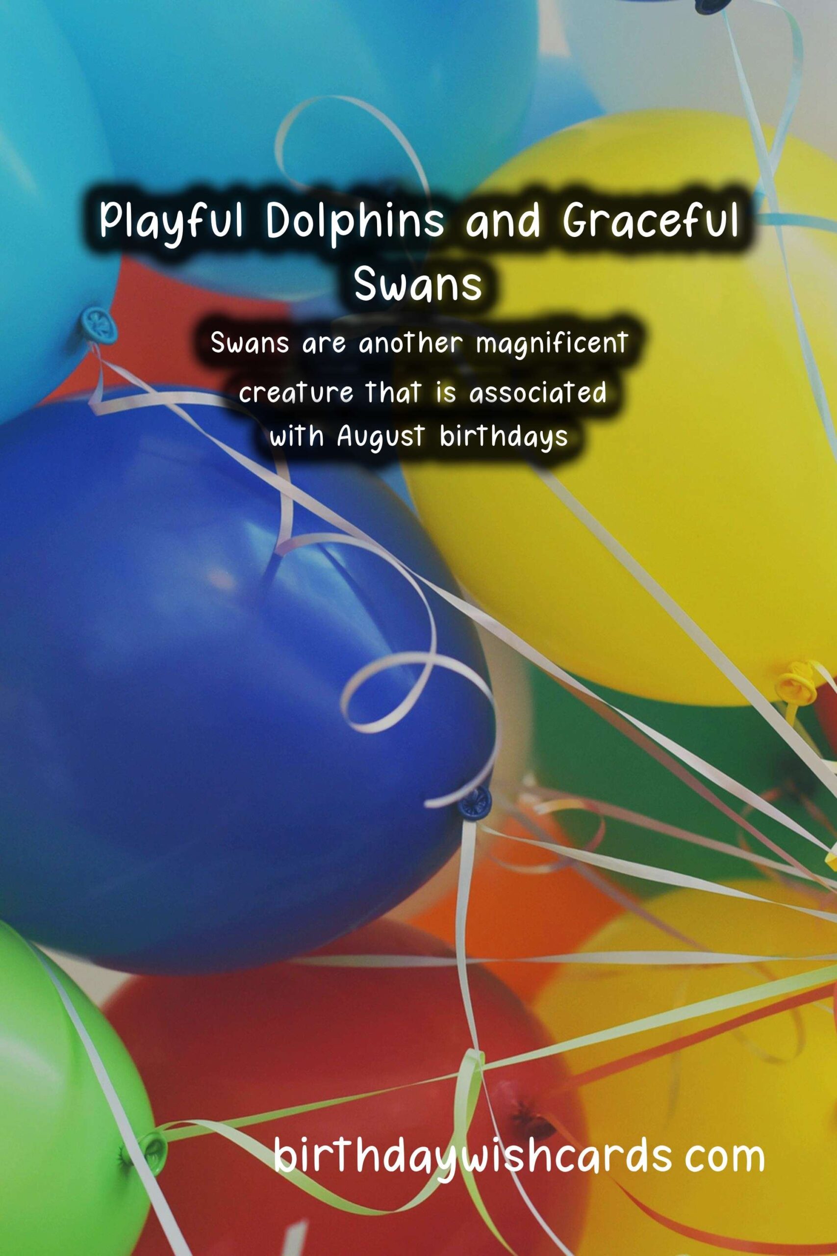 August Birthday Wishes: Playful Dolphins and Graceful Swans