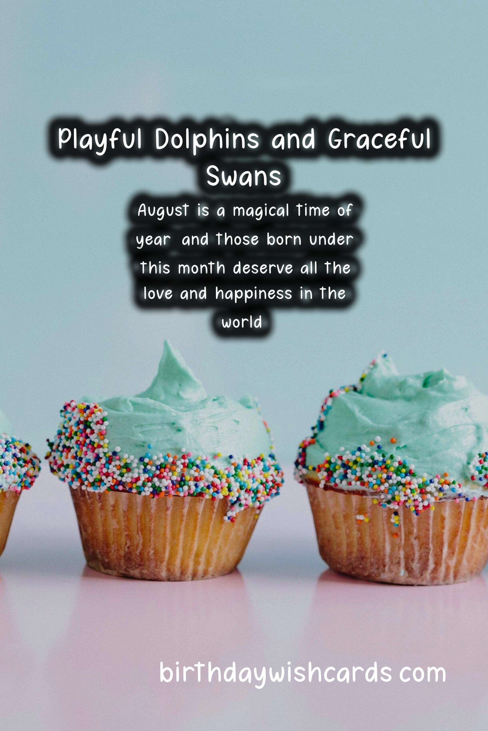 August Birthday Wishes: Playful Dolphins and Graceful Swans