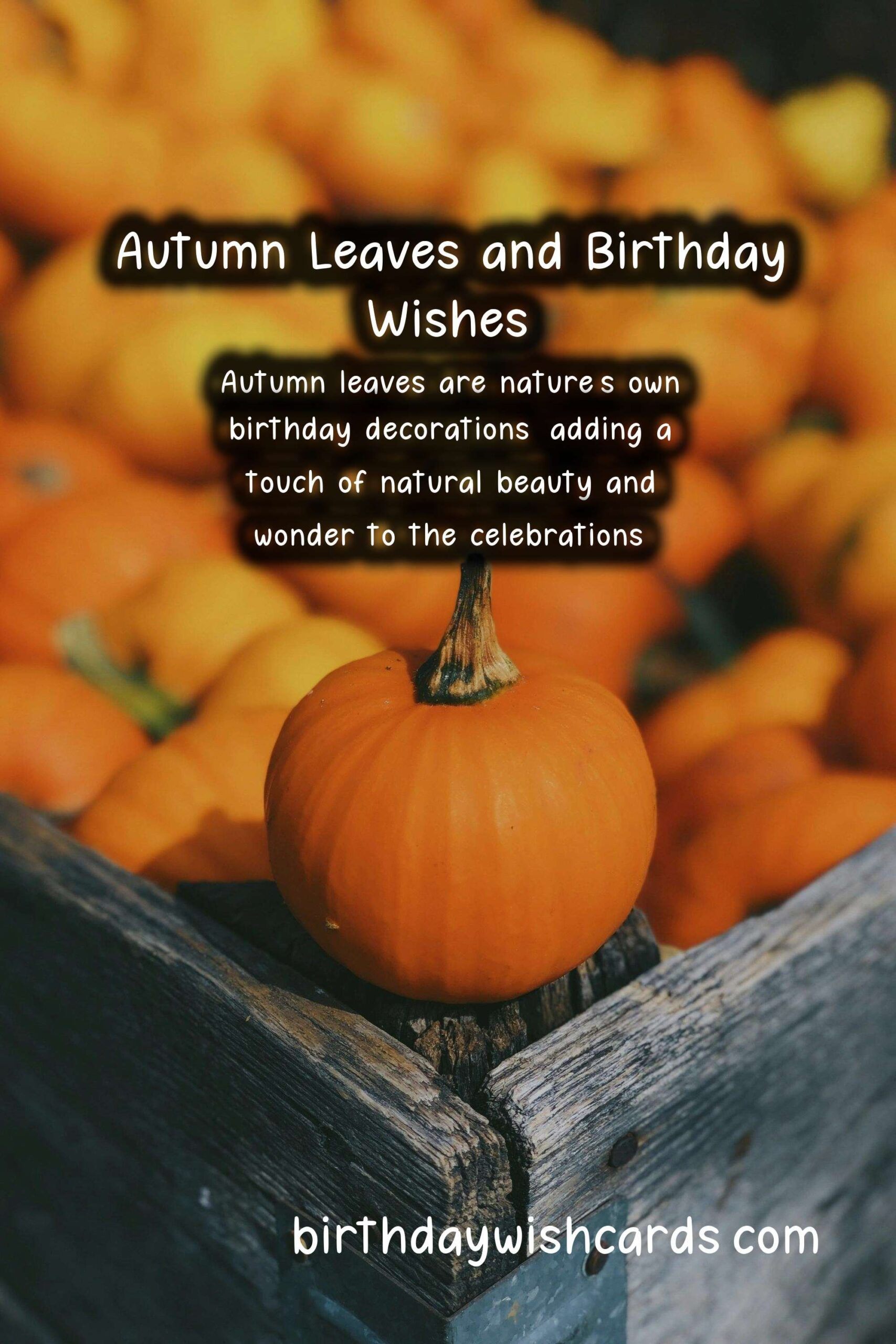 Birthday Wish Cards | Autumn Leaves Birthday Wishes: Warm and Cozy Celebrations