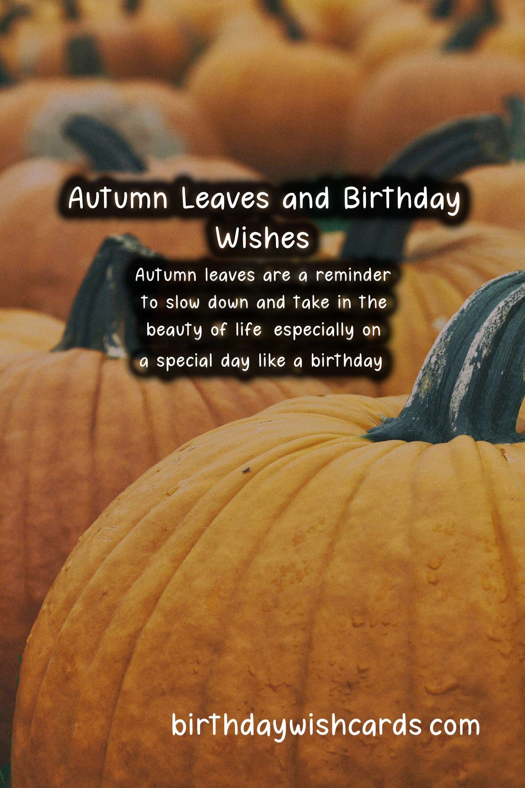 Autumn Leaves Birthday Wishes: Warm and Cozy Celebrations