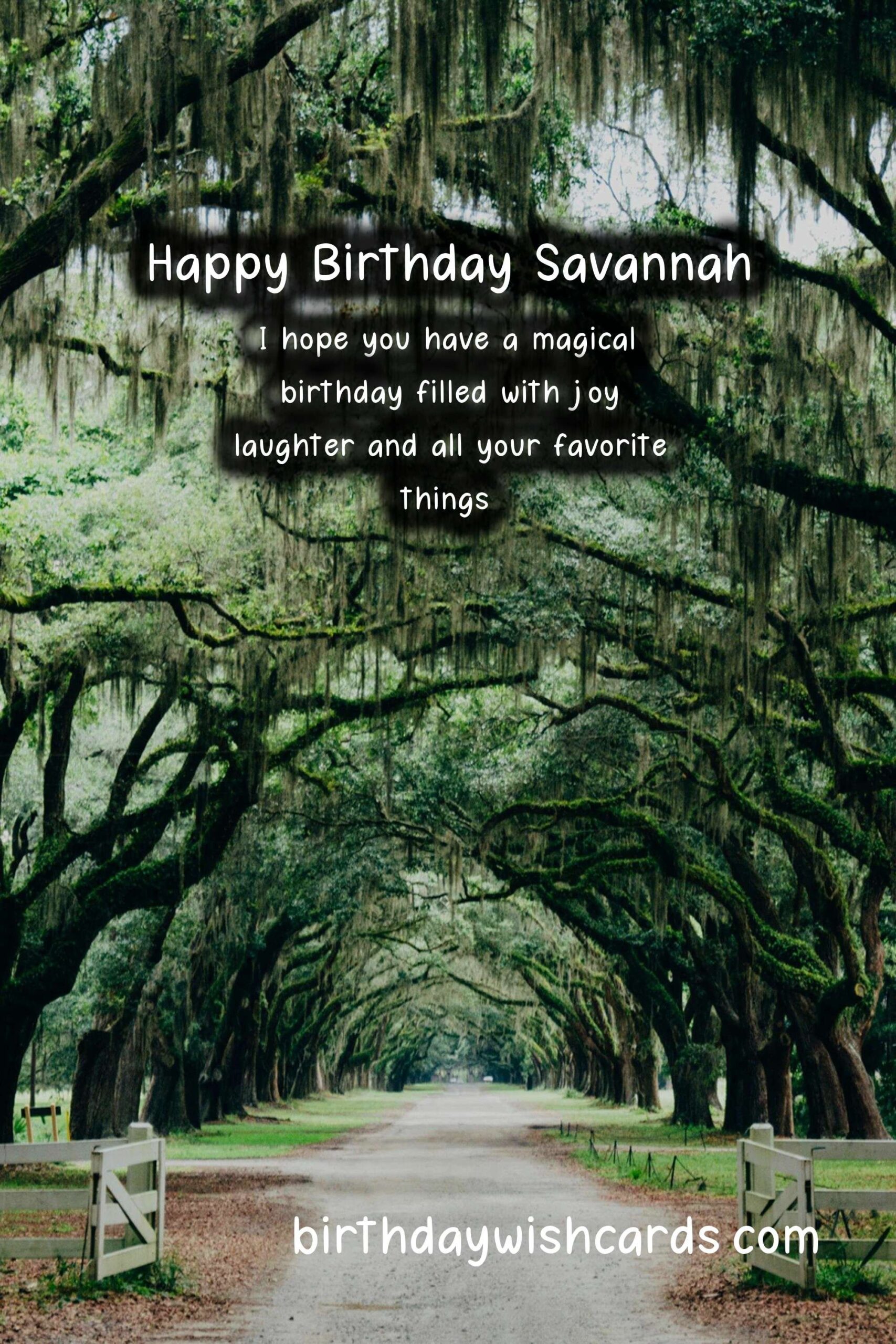 Birthday Wishes for Savannah: Delightful Messages and Beautiful Images