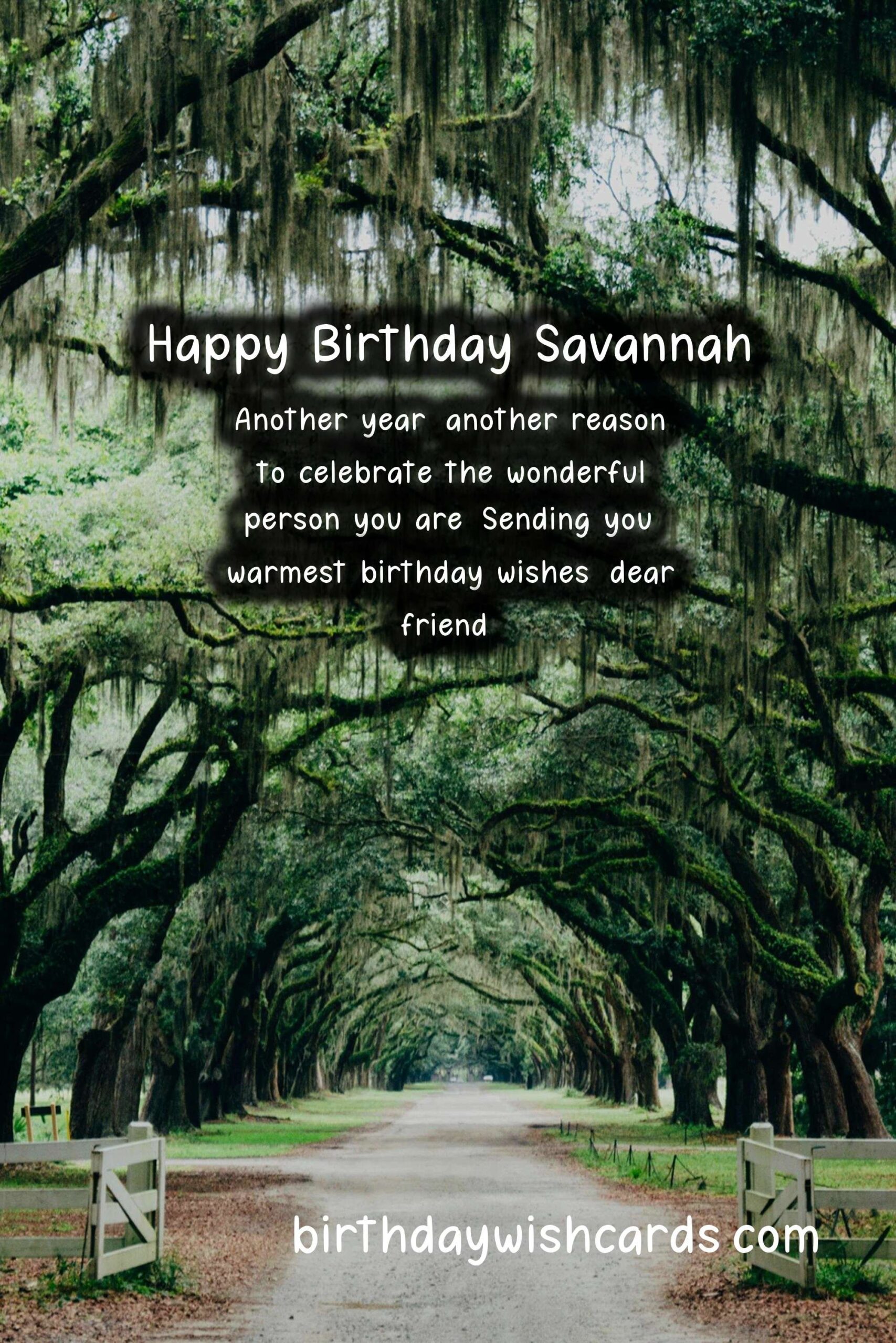 Birthday Wishes for Savannah: Delightful Messages and Beautiful Images