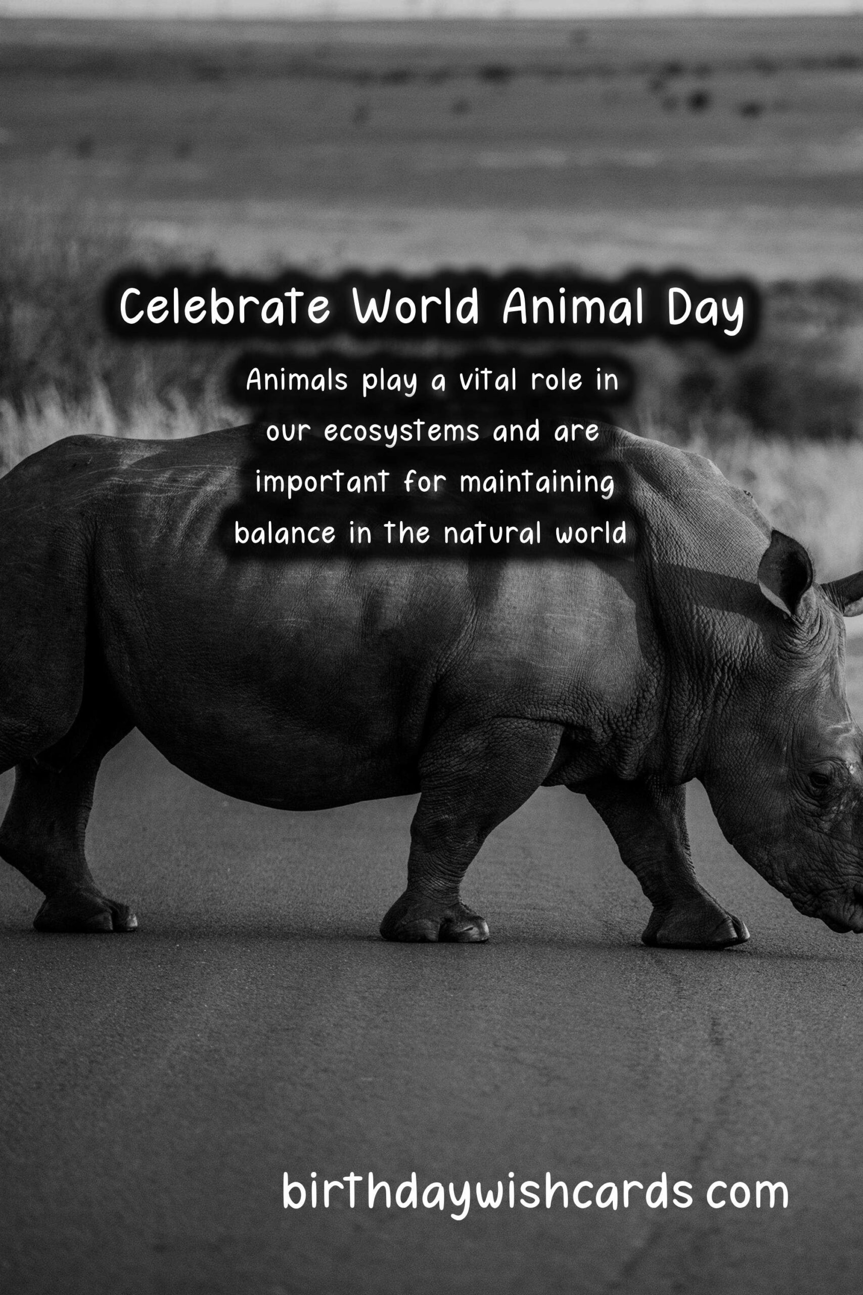 Celebrate World Animal Day on October 4th