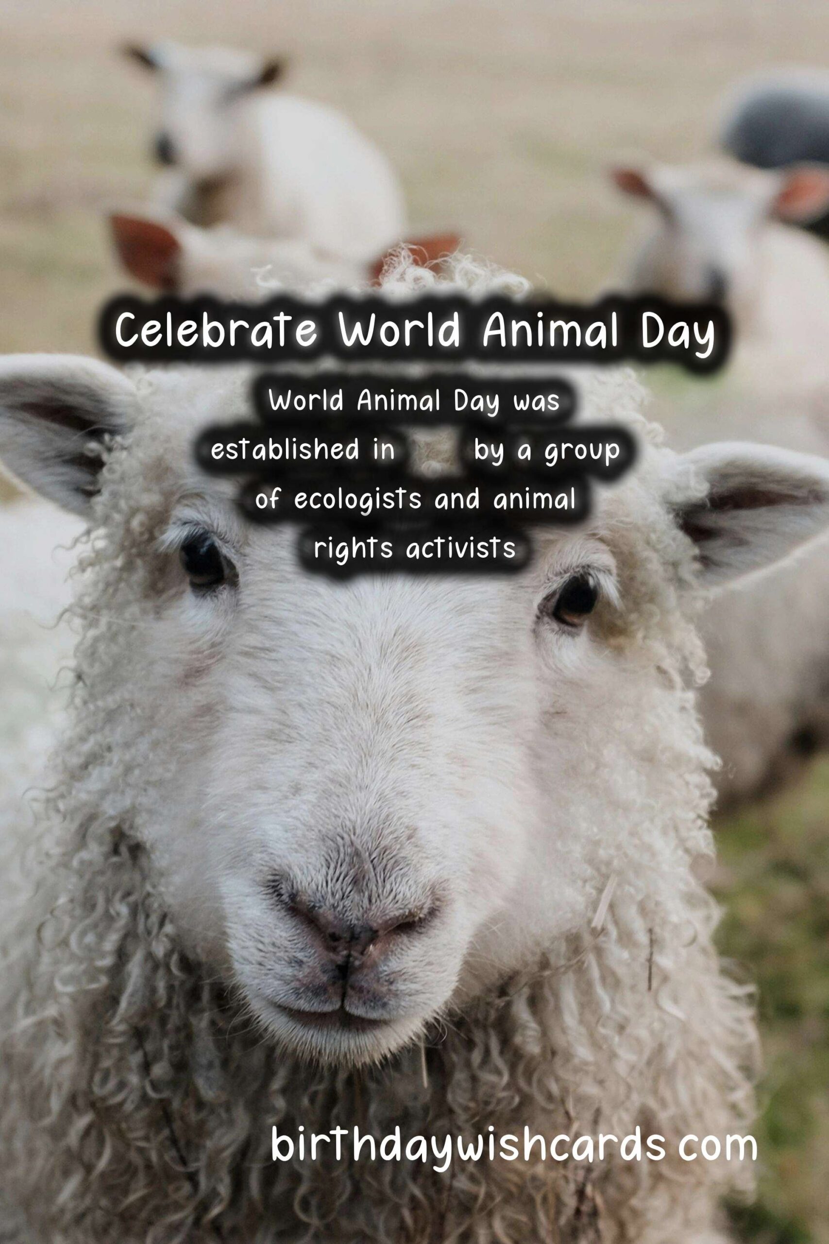 Celebrate World Animal Day on October 4th