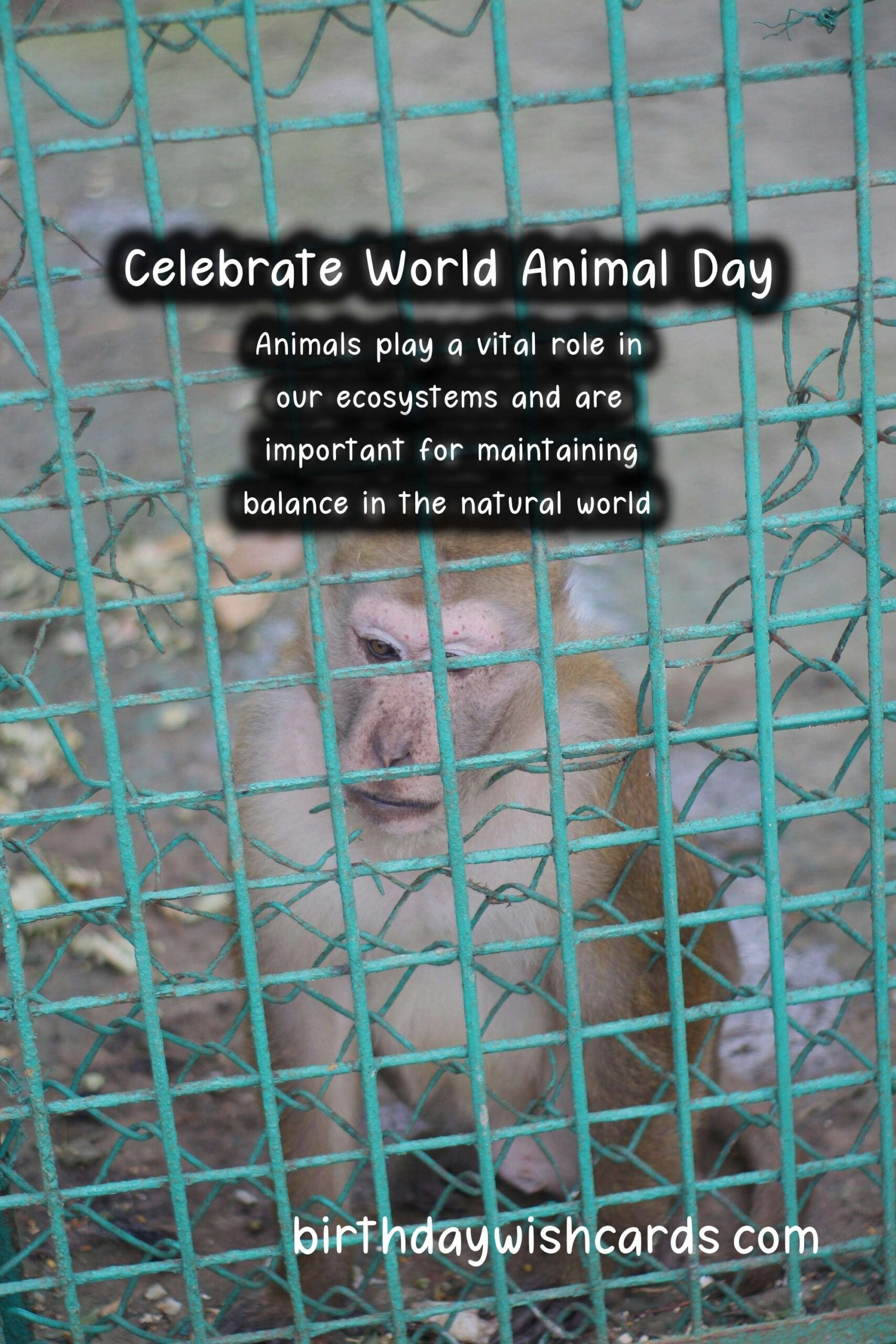 Celebrate World Animal Day on October 4th