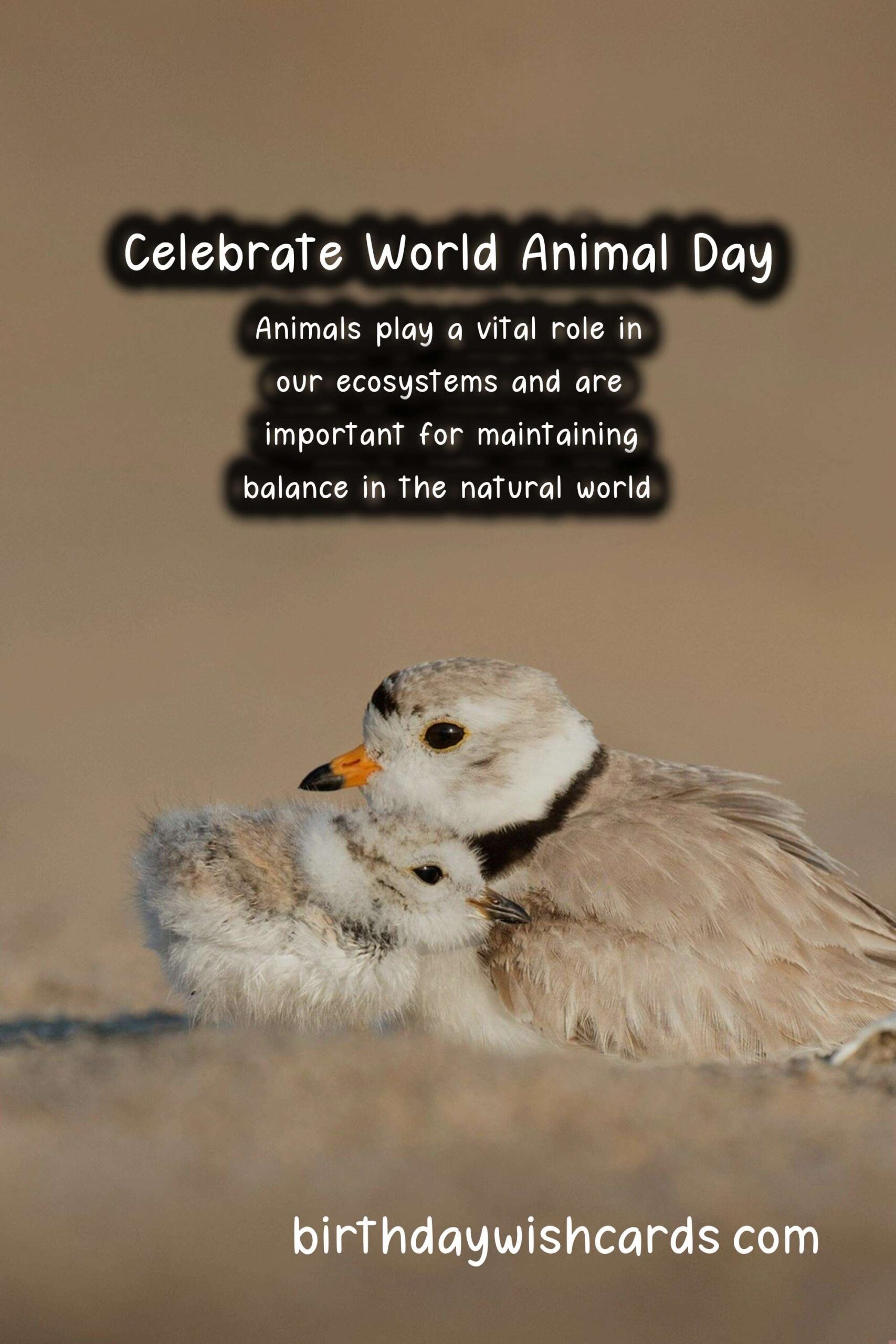 Celebrate World Animal Day on October 4th