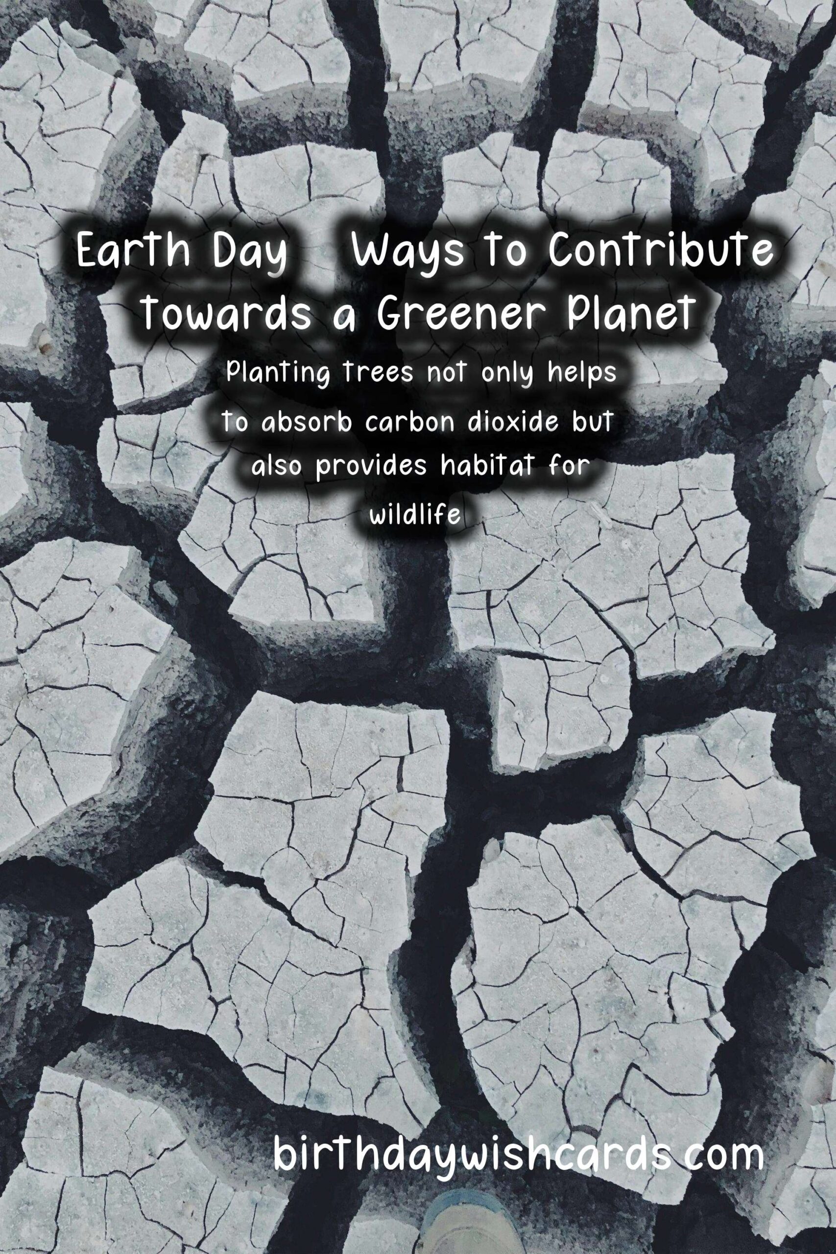 Celebrating Earth Day - April 22: Ways to Contribute towards a Greener Planet