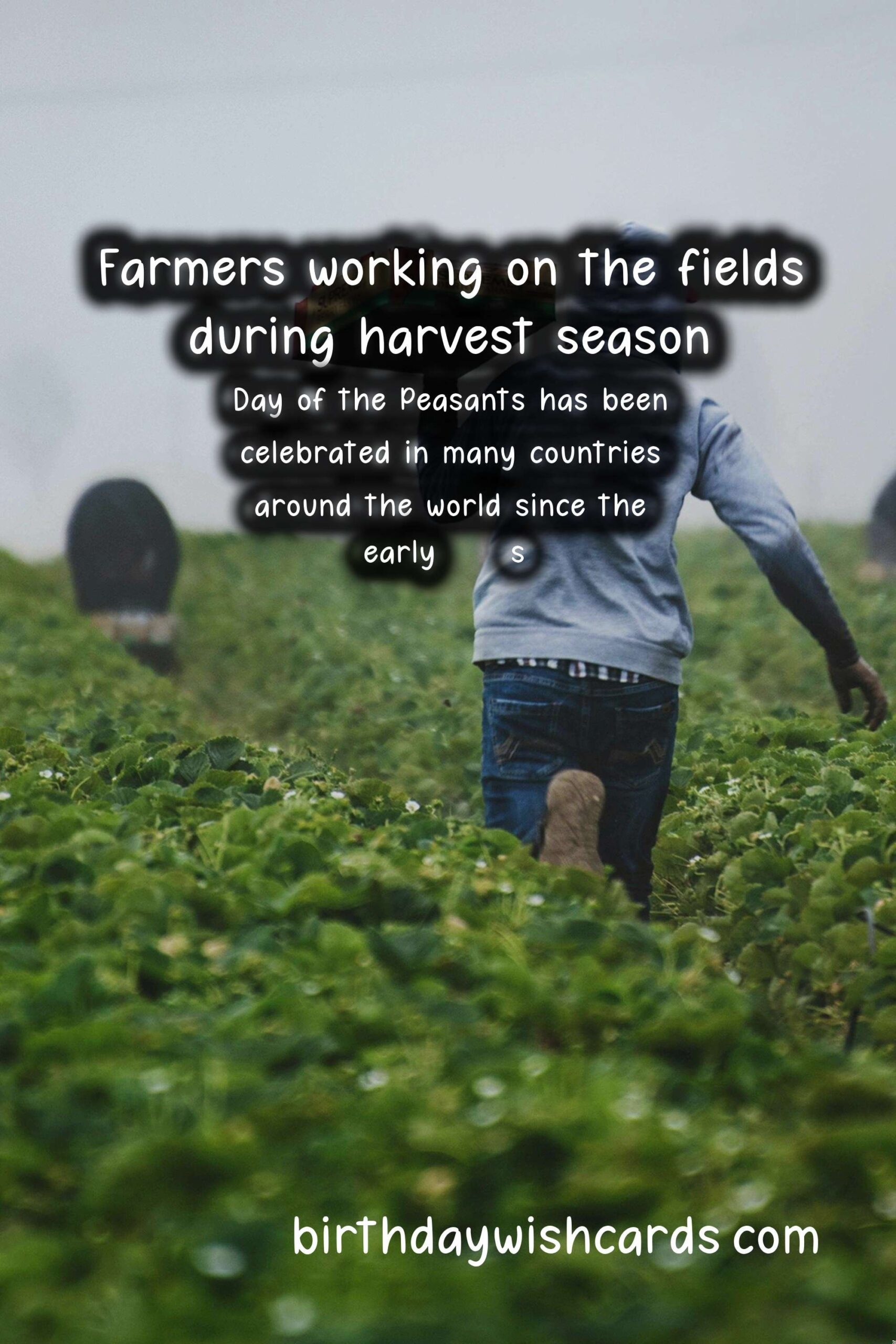 Day of the Peasants - May 14th