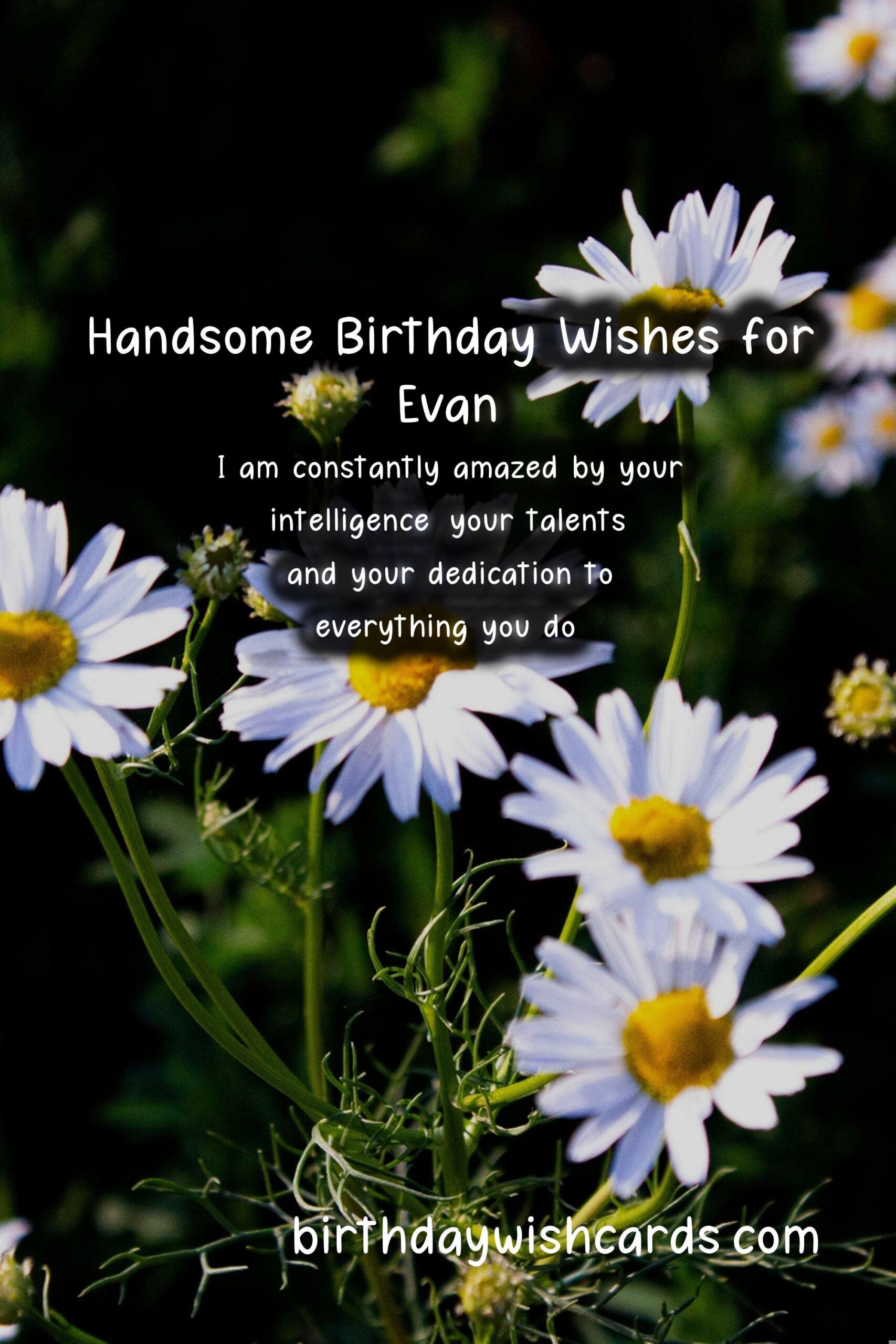 Happy Birthday, Evan! Heartwarming Wishes and Handsome Images