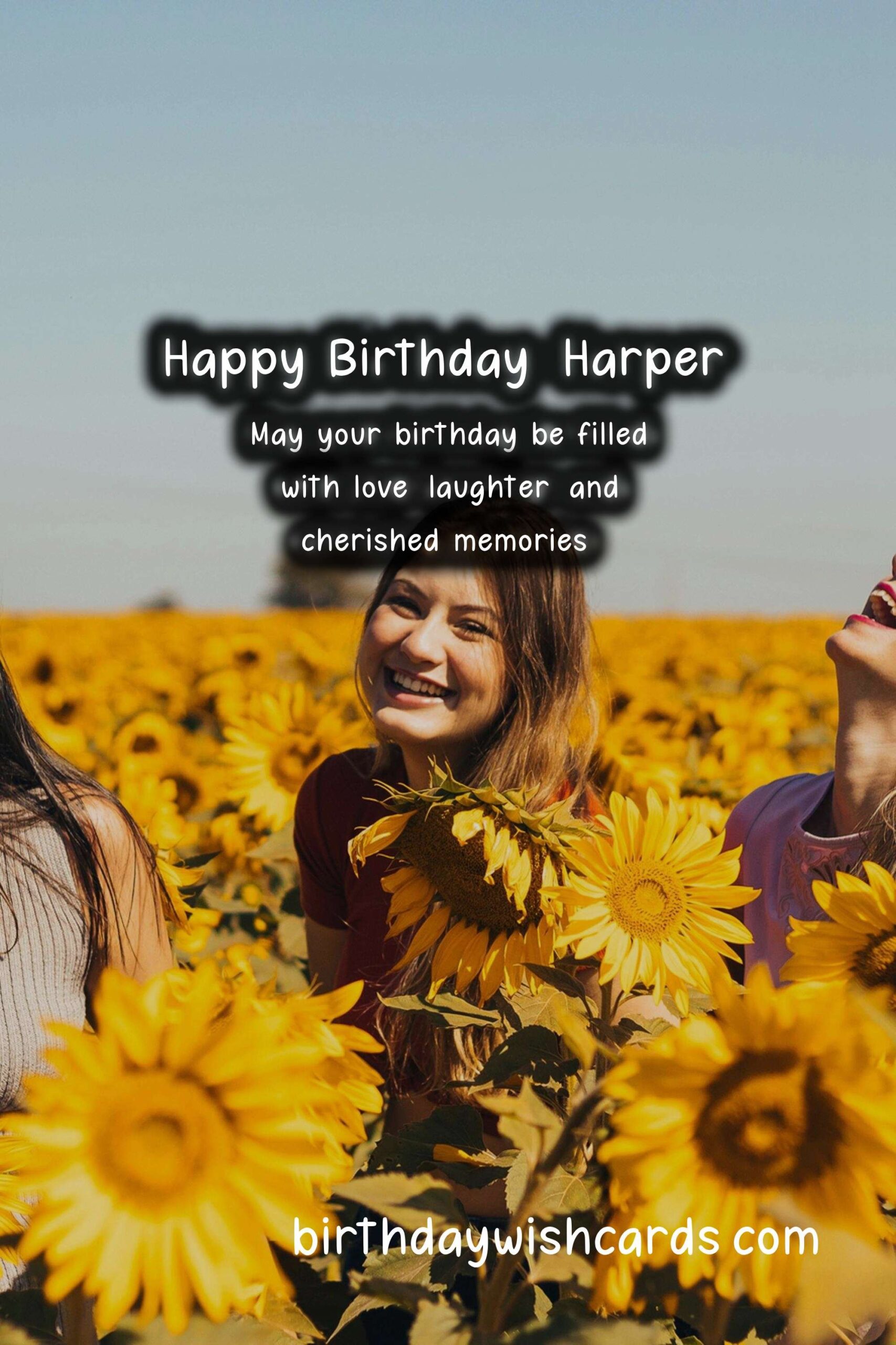 Happy Birthday, Harper! Wonderful Wishes and Beautiful Images