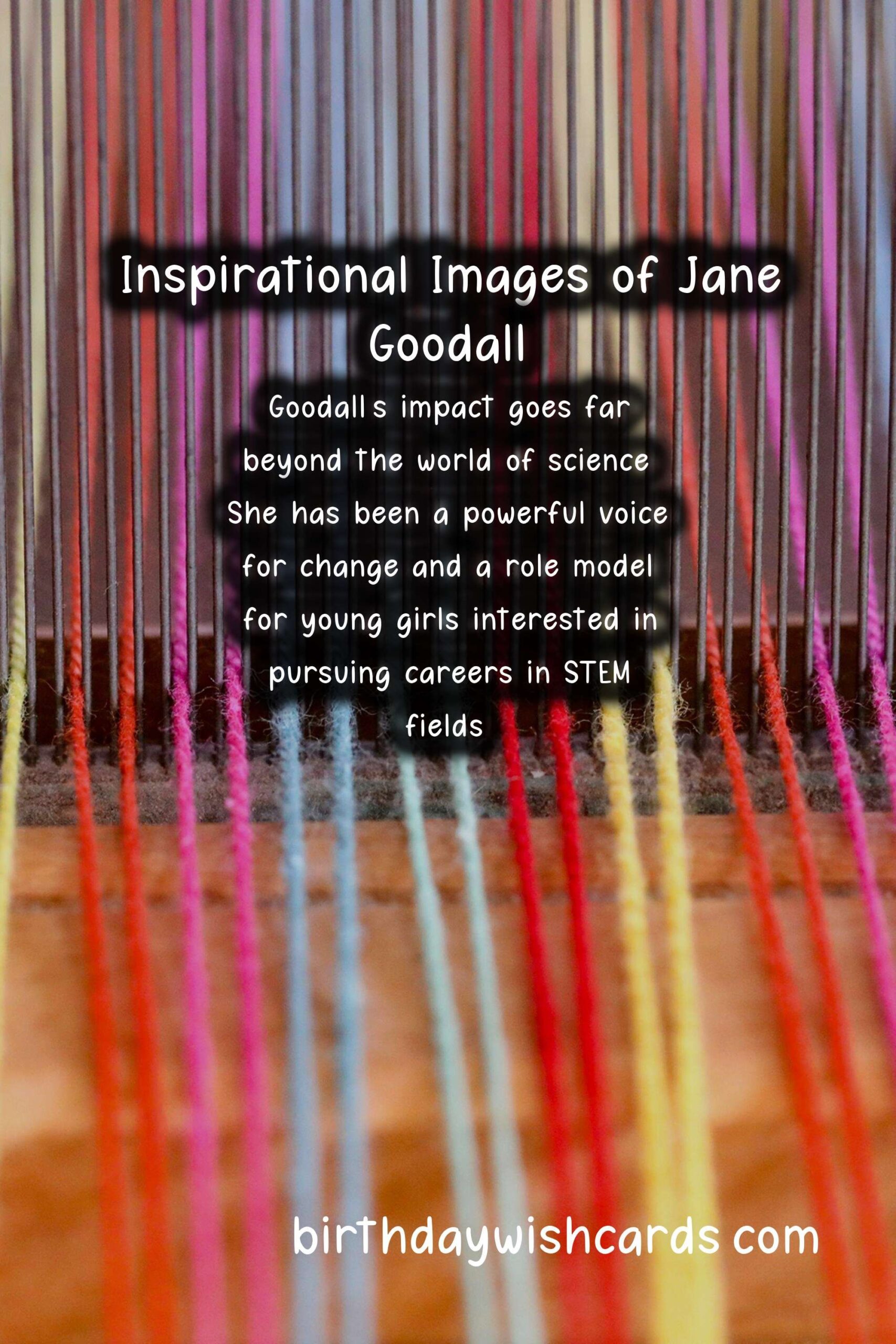 Honoring Jane Goodall: Primatology Pioneer Facts and Inspirational Images