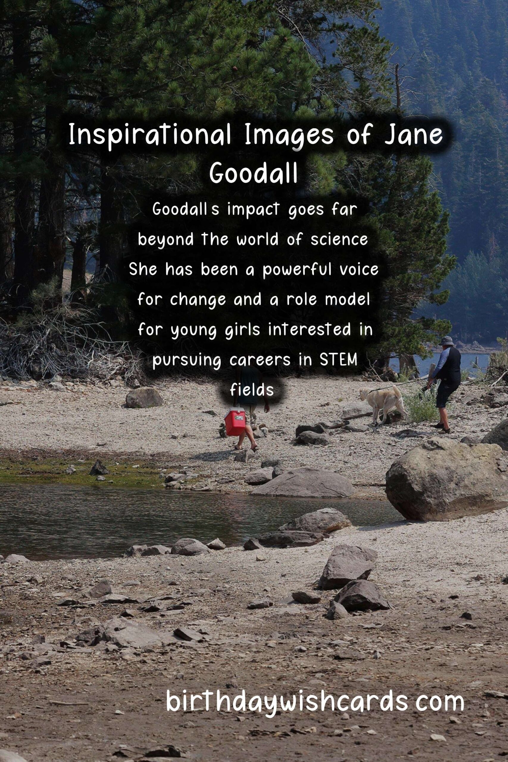 Honoring Jane Goodall: Primatology Pioneer Facts and Inspirational Images