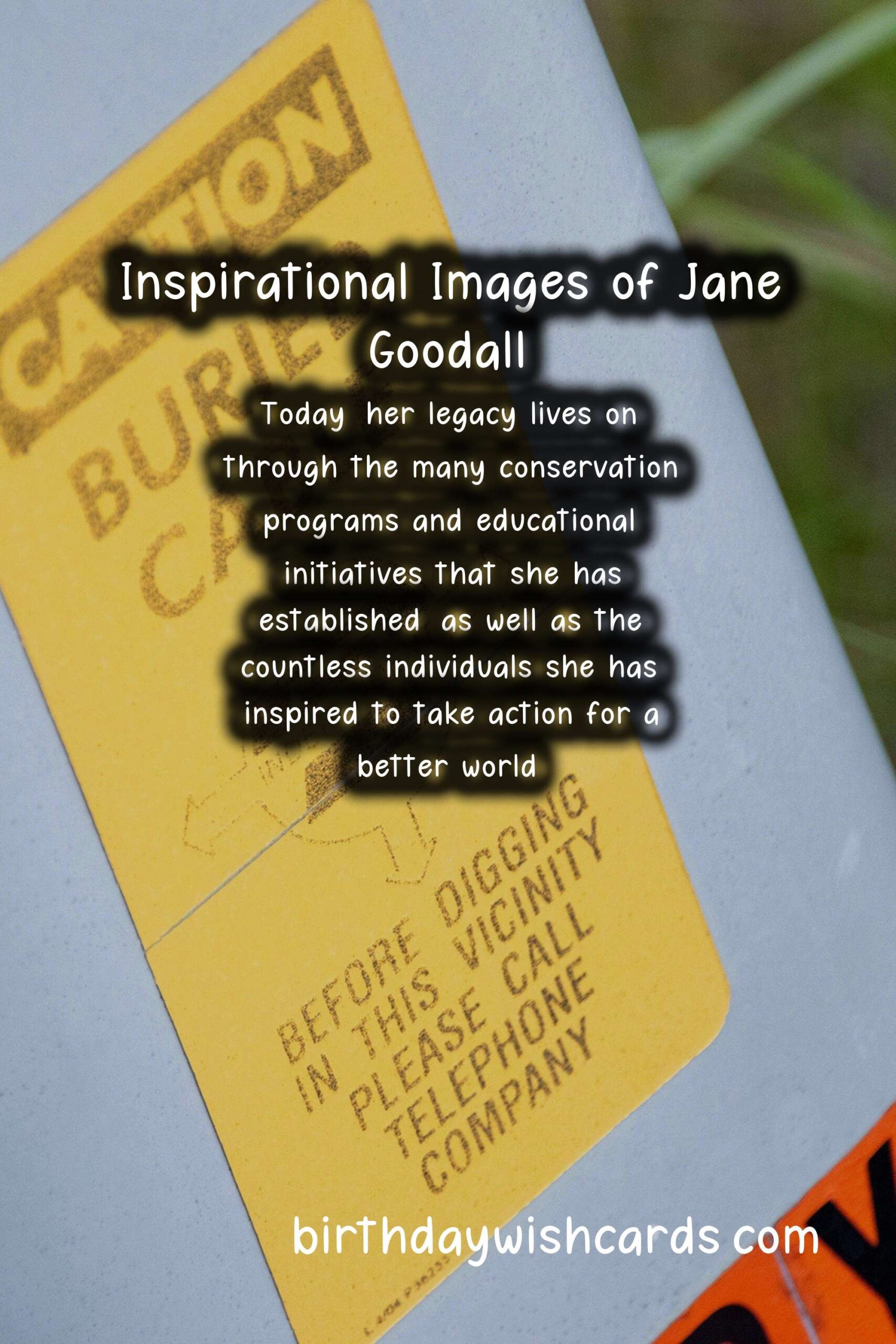 Honoring Jane Goodall: Primatology Pioneer Facts and Inspirational Images