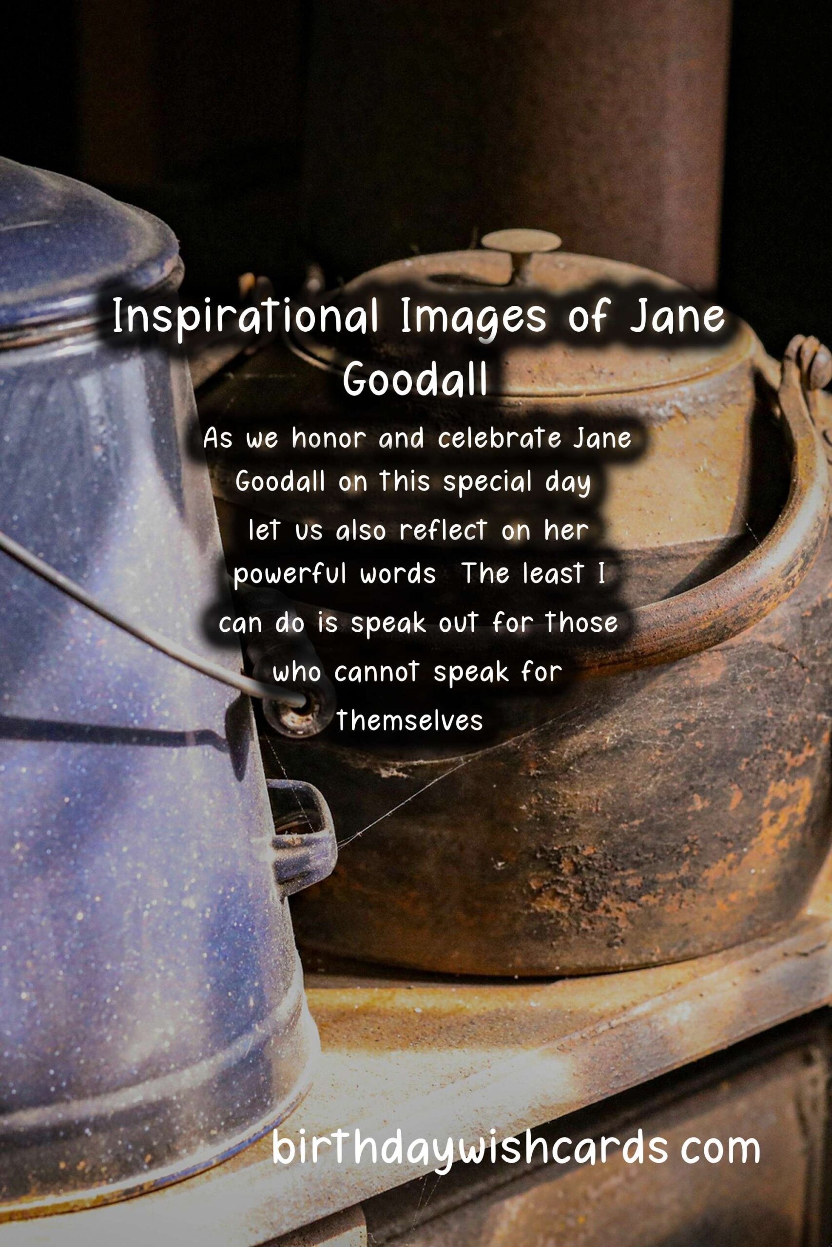 Honoring Jane Goodall: Primatology Pioneer Facts and Inspirational Images