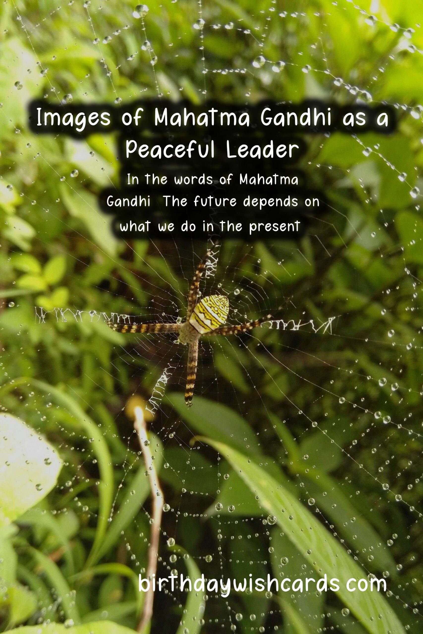Honoring Mahatma Gandhi: Peaceful Leader Facts and Historic Images