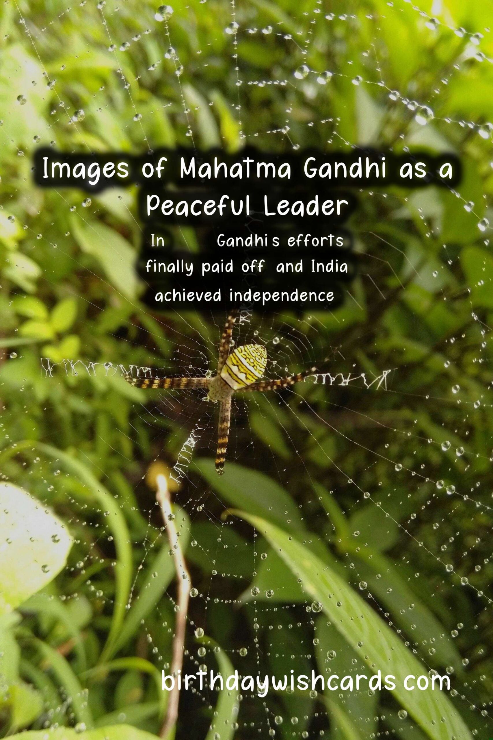 Honoring Mahatma Gandhi: Peaceful Leader Facts and Historic Images