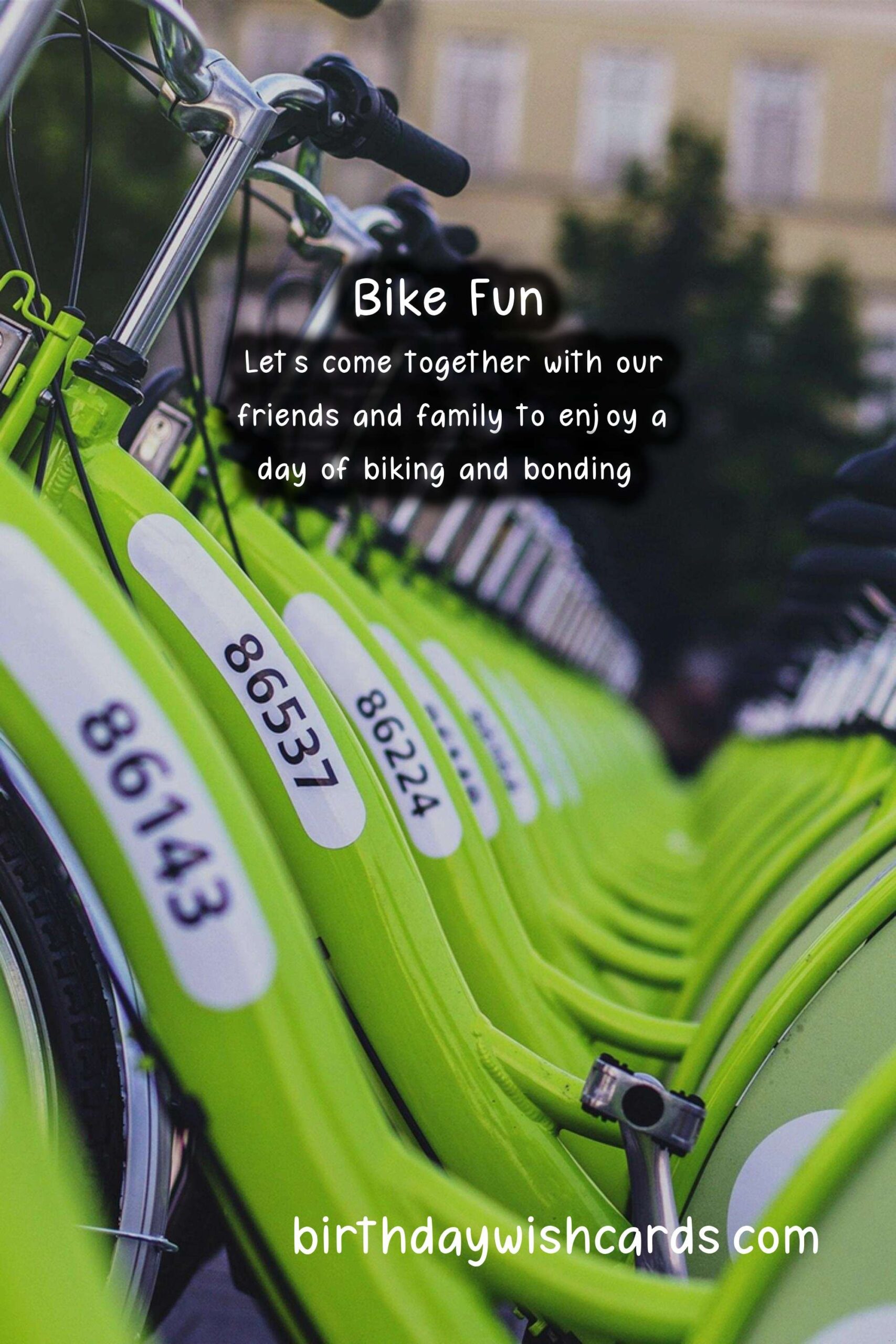 Join the Fun on Fun Bike Day - November 10