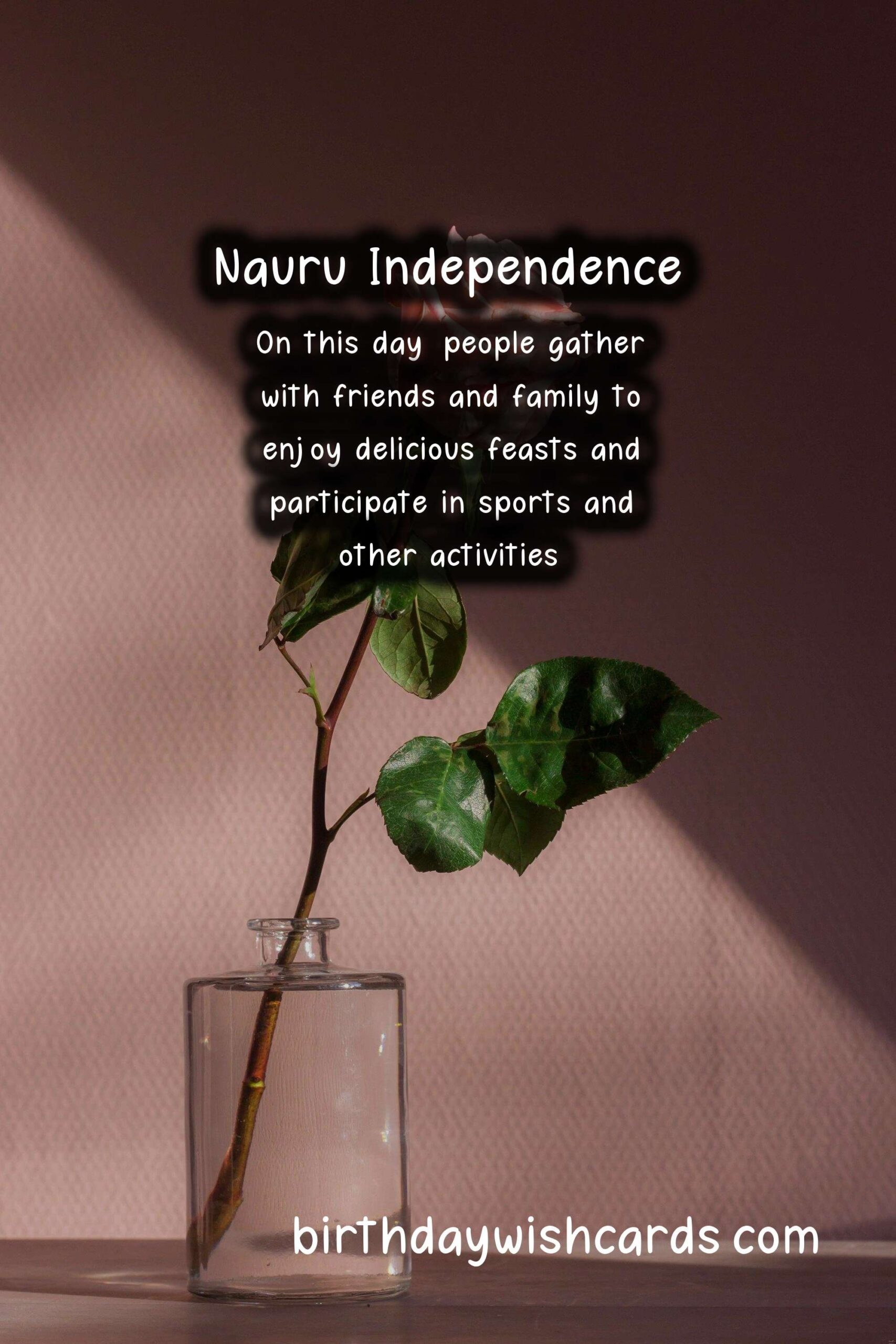Learn More About March 8 - Nauru's Independence Day and the Journey to Freedom