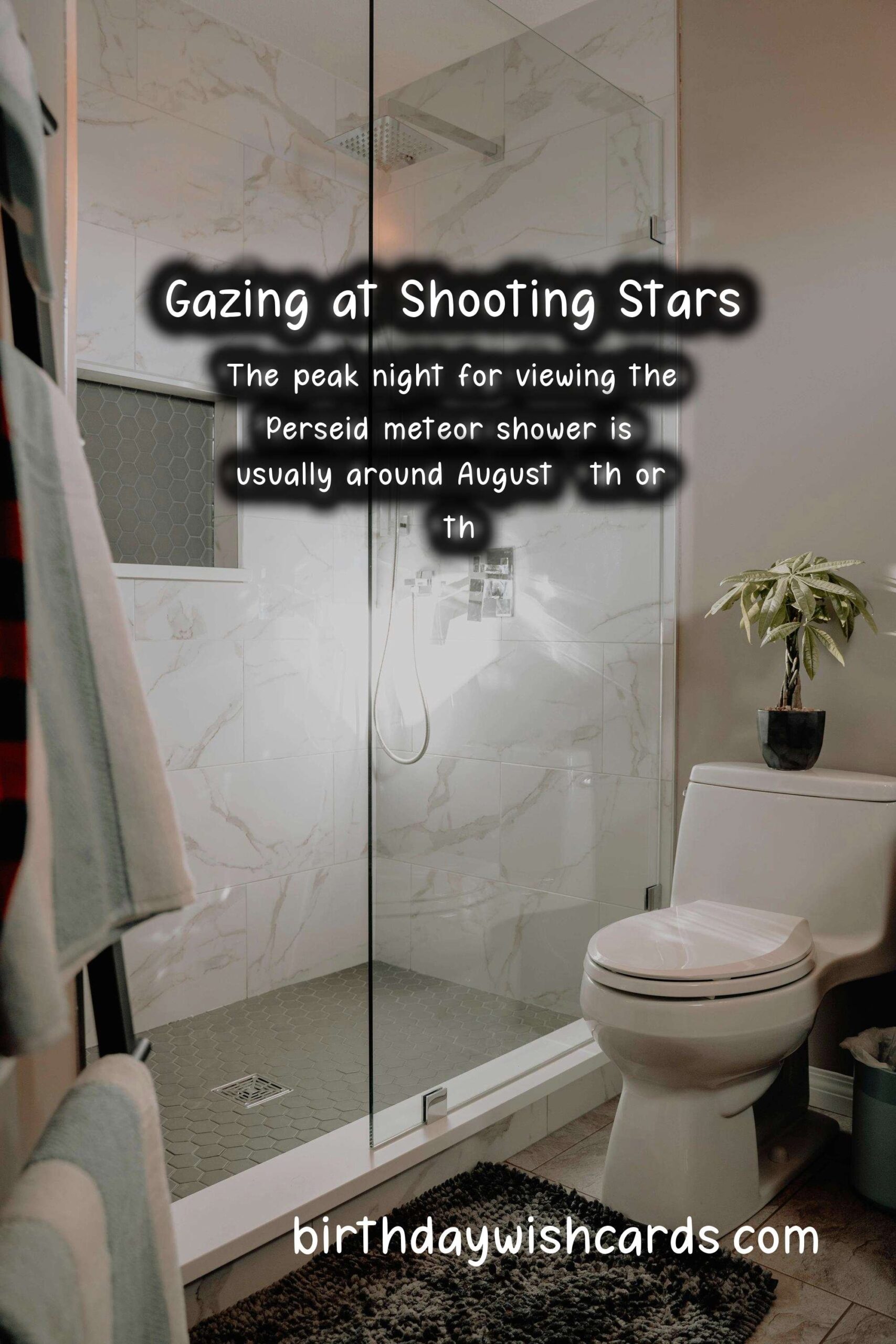 Meteor Shower Wishes: Gazing at Shooting Stars