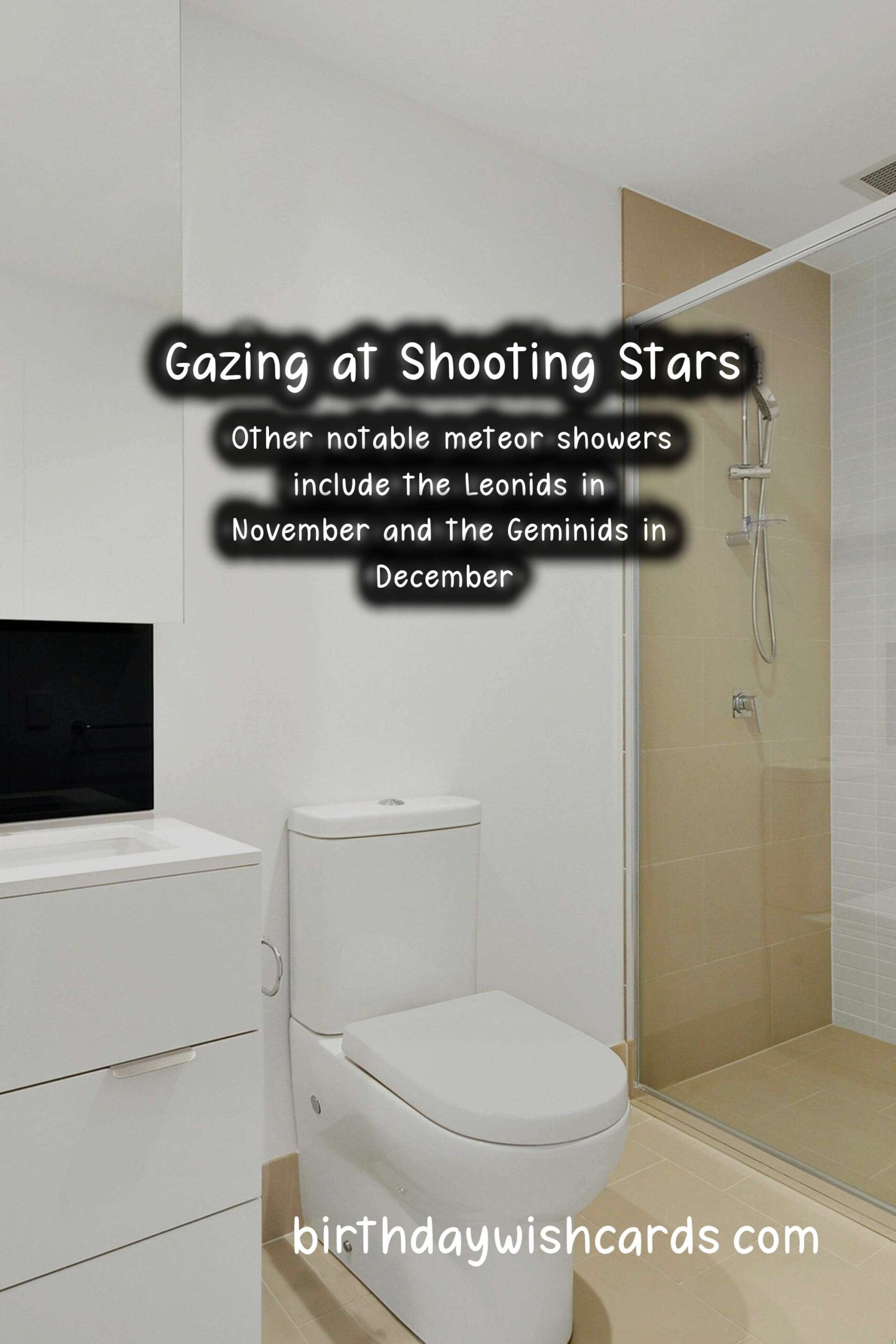 Meteor Shower Wishes: Gazing at Shooting Stars
