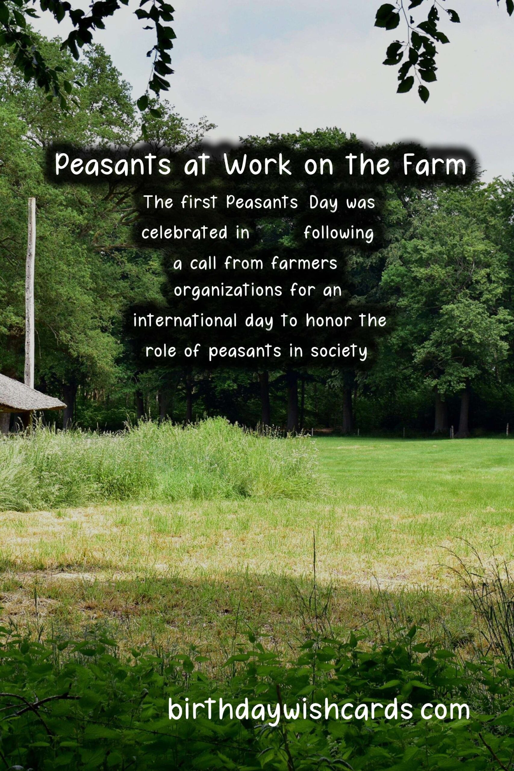 Peasants' Day - March 2: A Day to Celebrate the Unsung Heroes of Agriculture