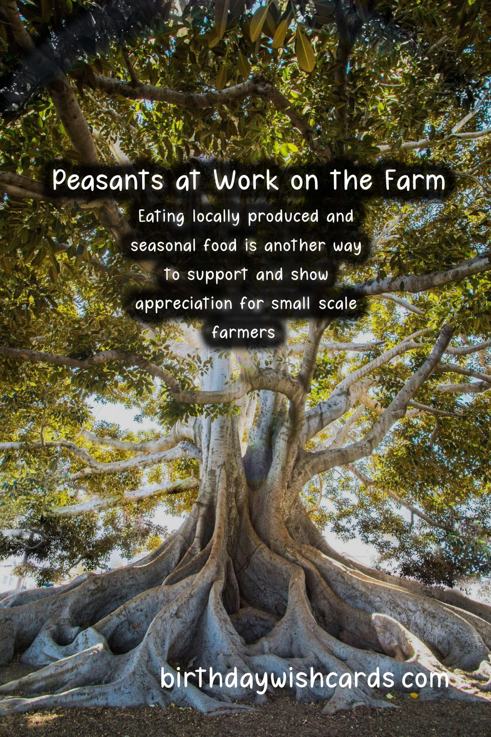 Peasants' Day - March 2: A Day to Celebrate the Unsung Heroes of Agriculture