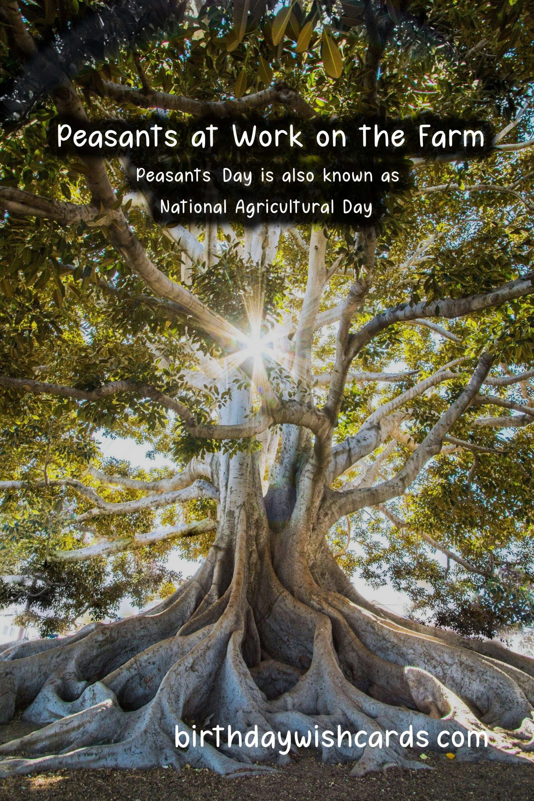 Peasants' Day - March 2: A Day to Celebrate the Unsung Heroes of Agriculture