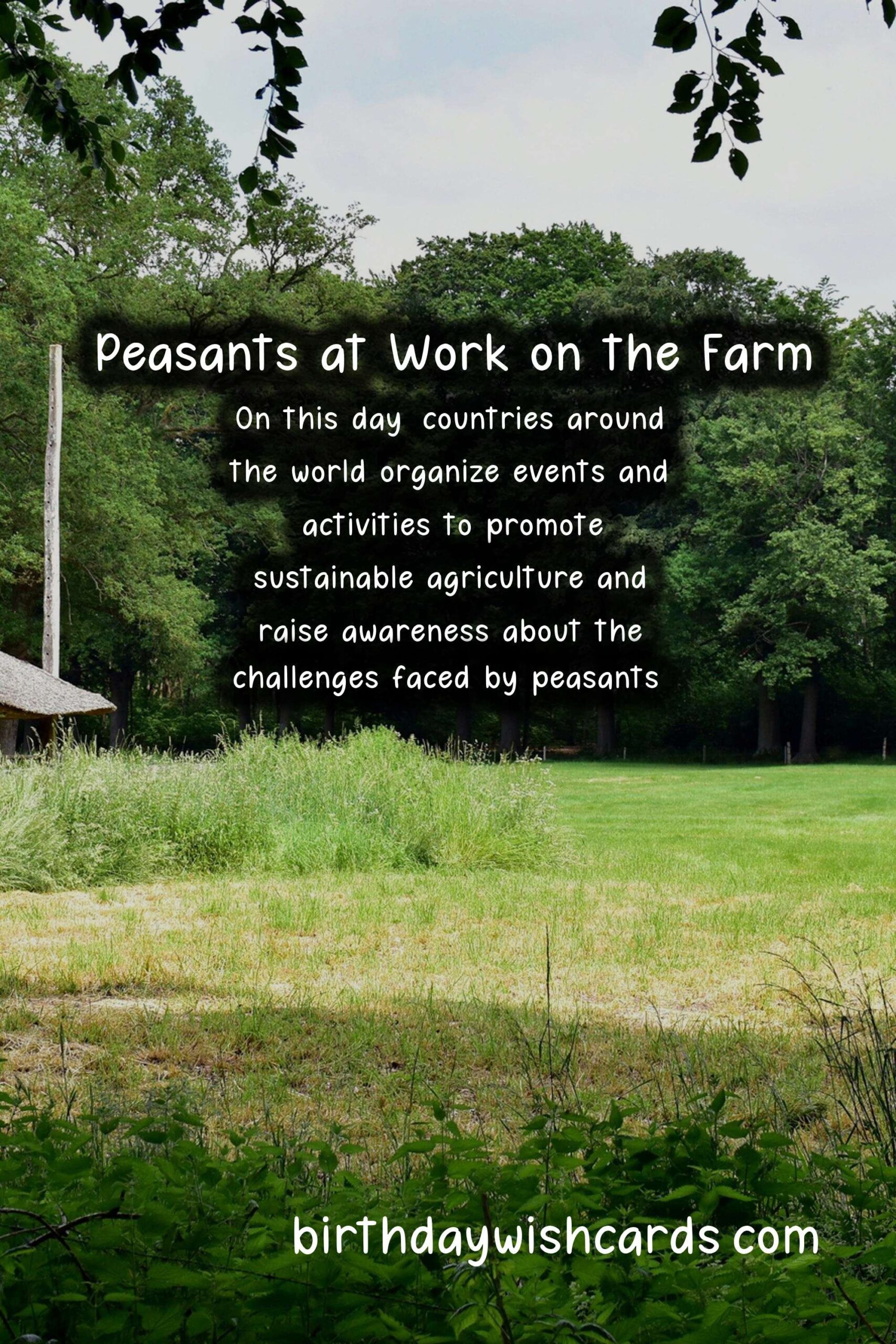 Peasants' Day - March 2: A Day to Celebrate the Unsung Heroes of Agriculture