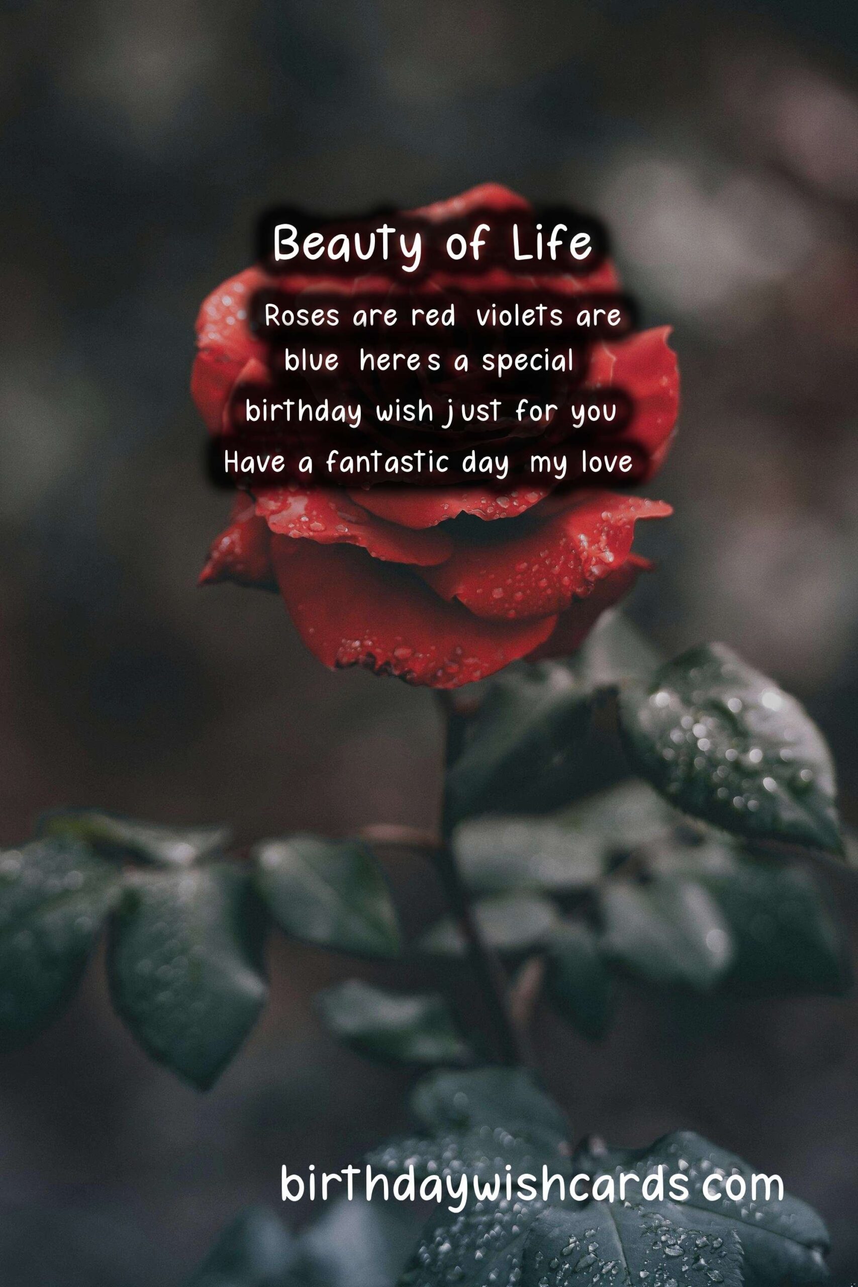 Birthday Wish Cards | Rose Birthday Wishes: Elegant and Romantic Celebrations