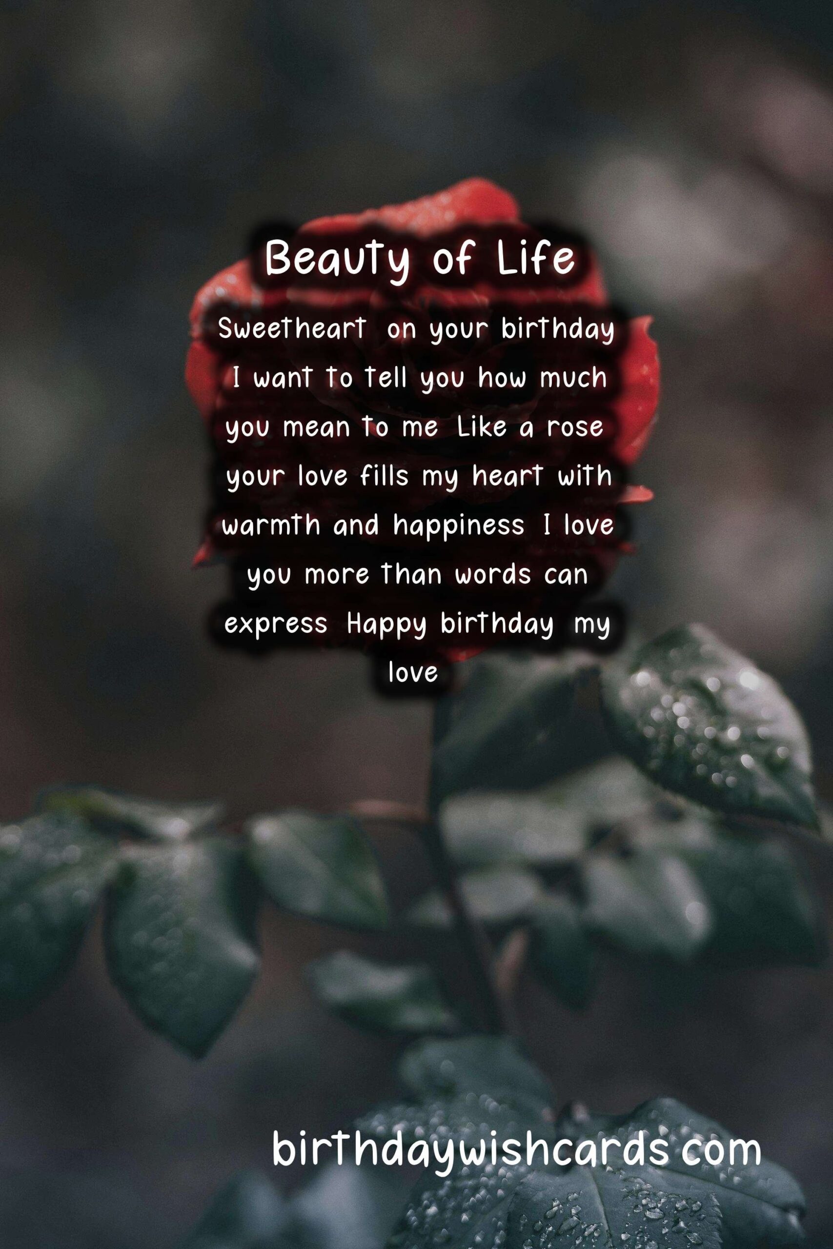 Rose Birthday Wishes: Elegant and Romantic Celebrations