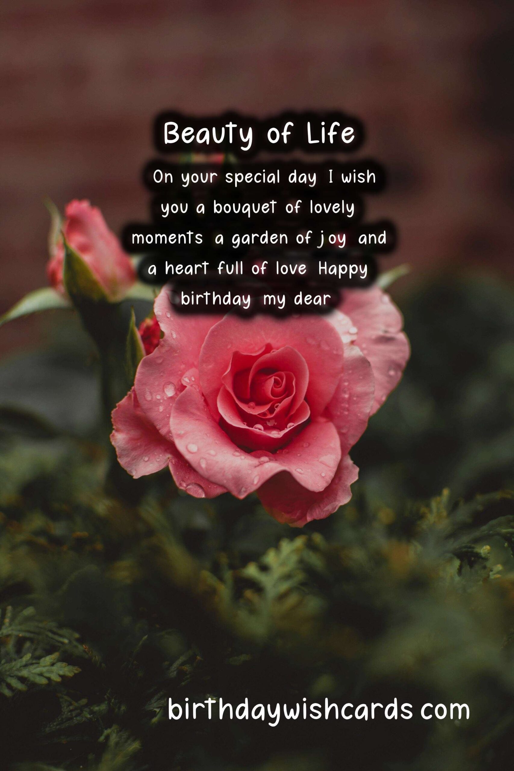 Rose Birthday Wishes: Elegant and Romantic Celebrations