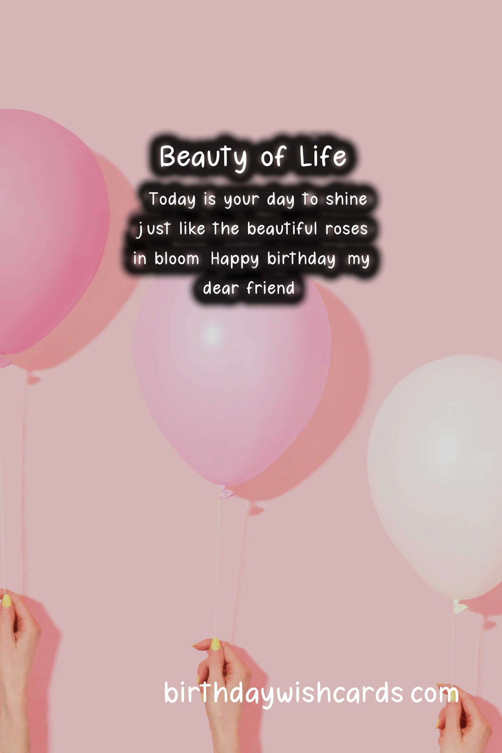 Rose Birthday Wishes: Elegant and Romantic Celebrations