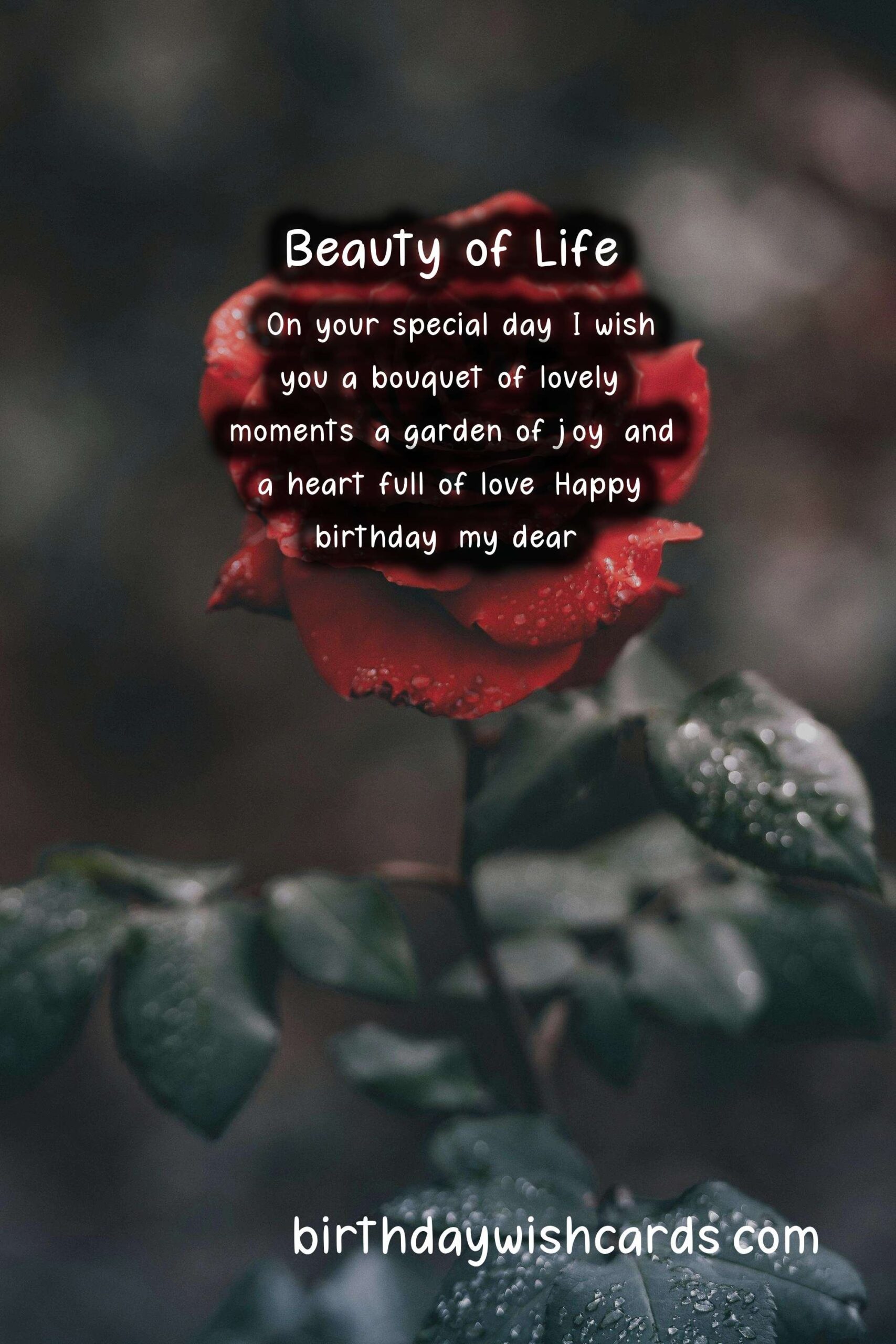 Rose Birthday Wishes: Elegant and Romantic Celebrations