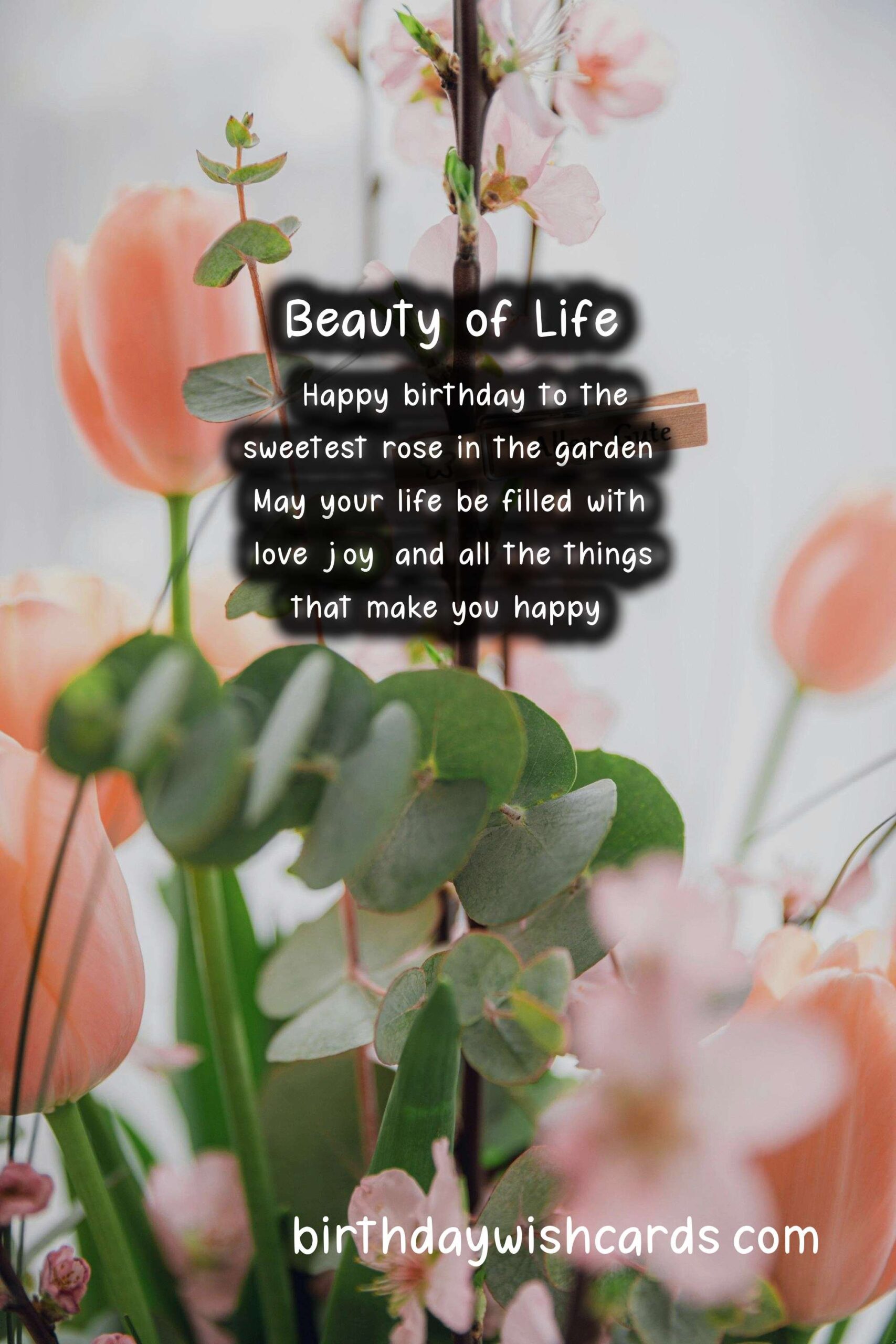 Rose Birthday Wishes: Elegant and Romantic Celebrations
