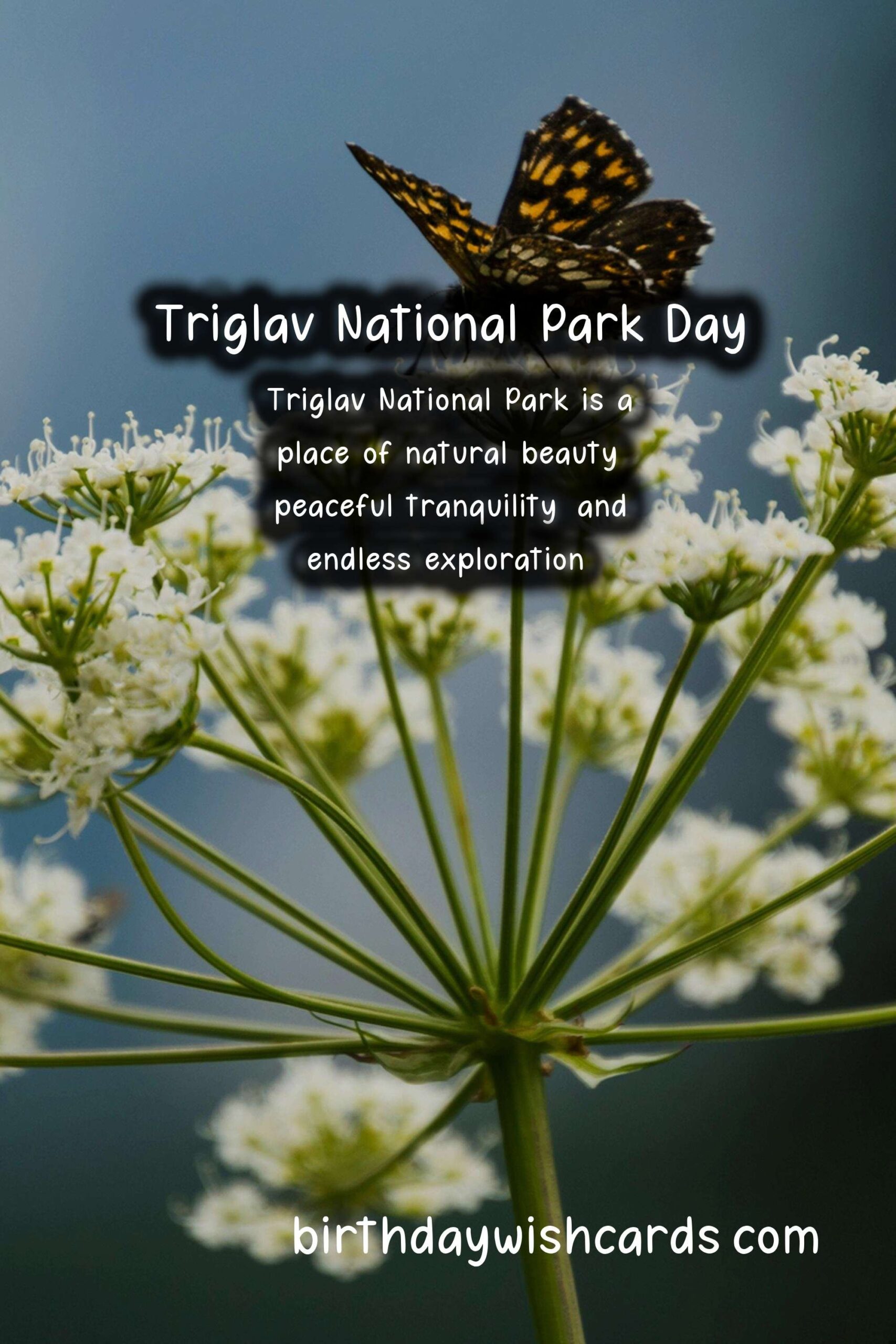 Triglav National Park Day - 11 July