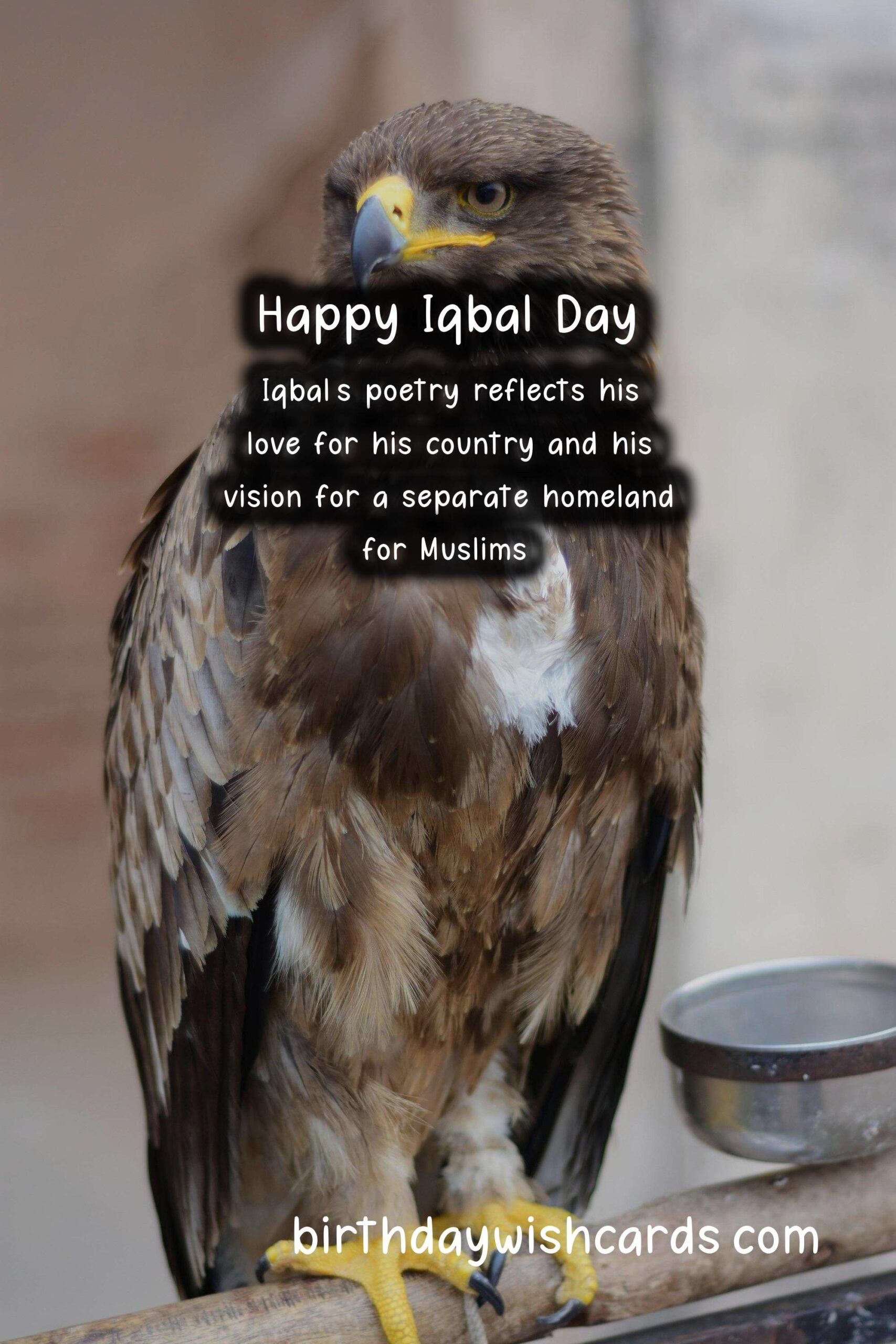 Birthday Wish Cards | 9 November - Iqbal Day: Celebrating the Legacy of Allama Iqbal