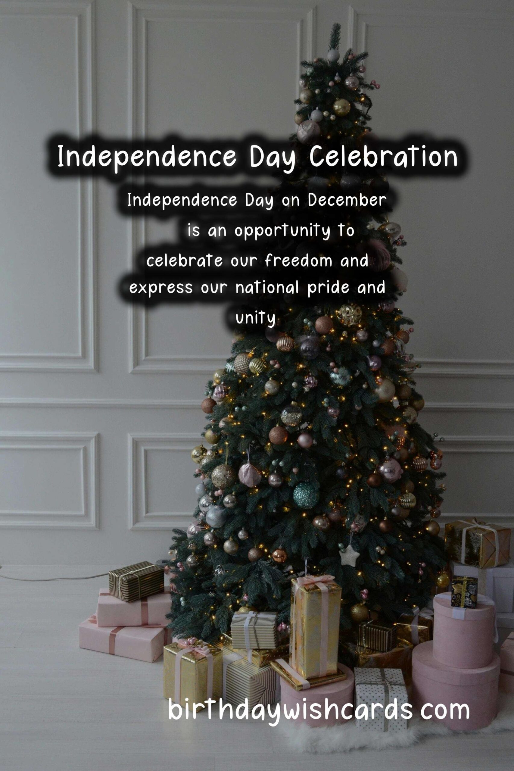 All You Need to Know About Independence Day On December 16
