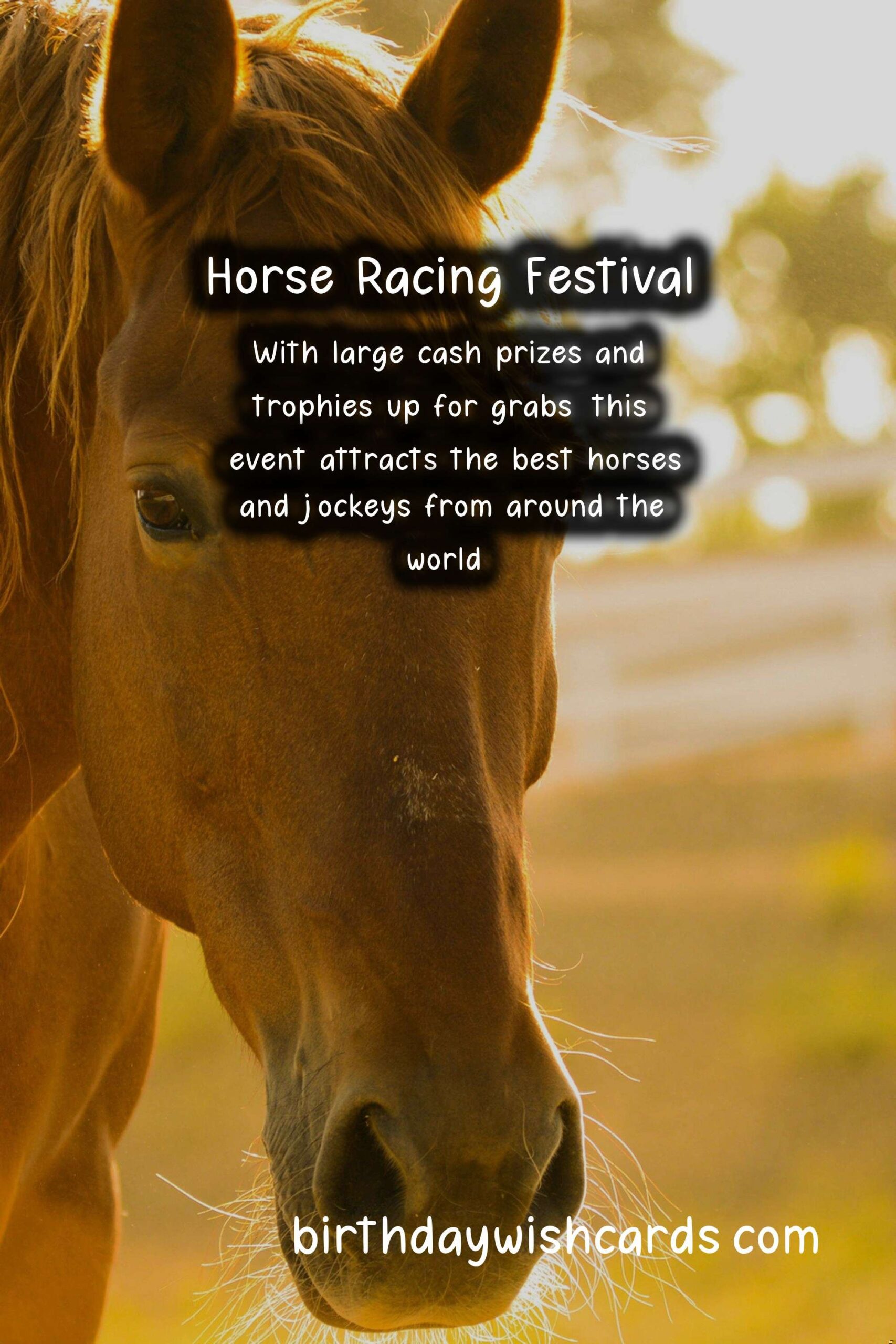 All You Need to Know About the Annual Horse Racing Festival in April