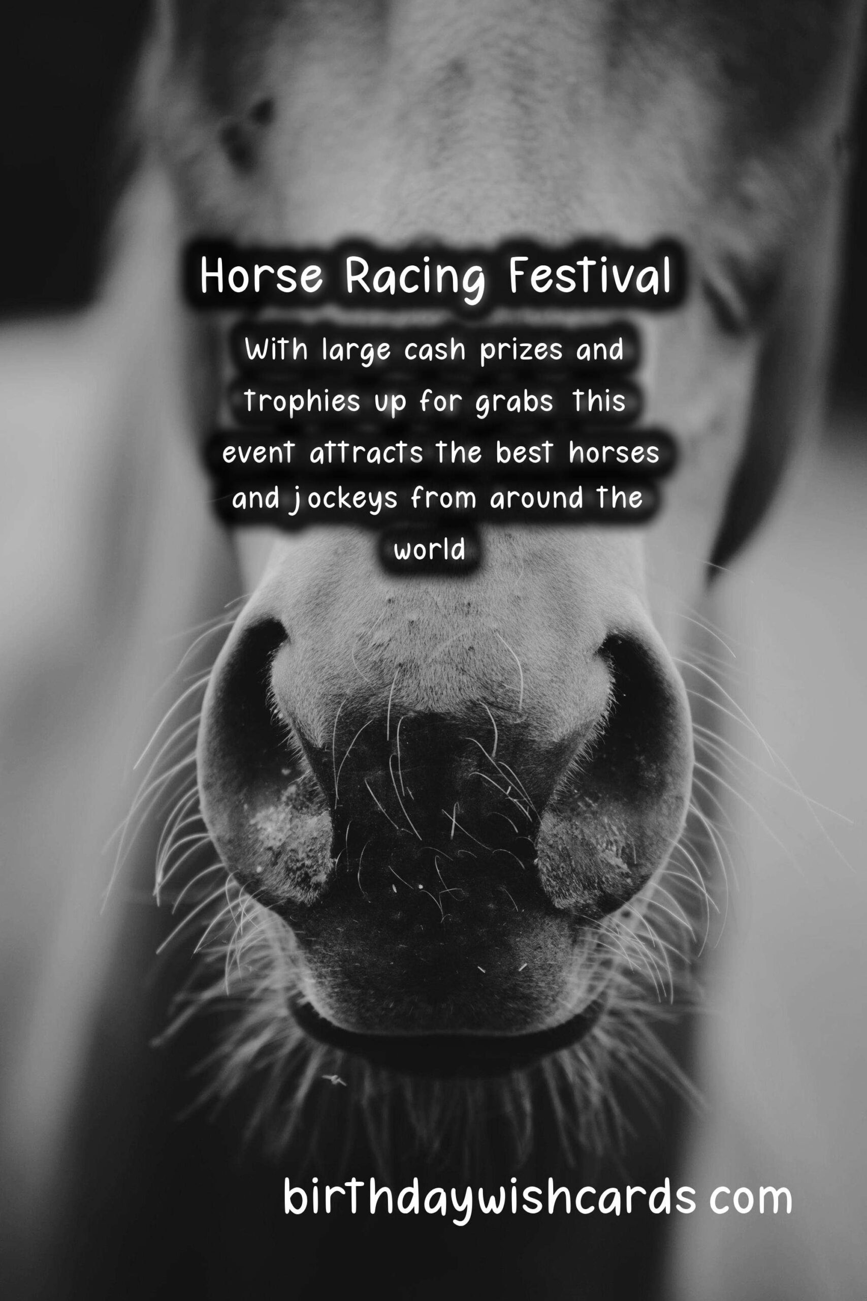 All You Need to Know About the Annual Horse Racing Festival in April