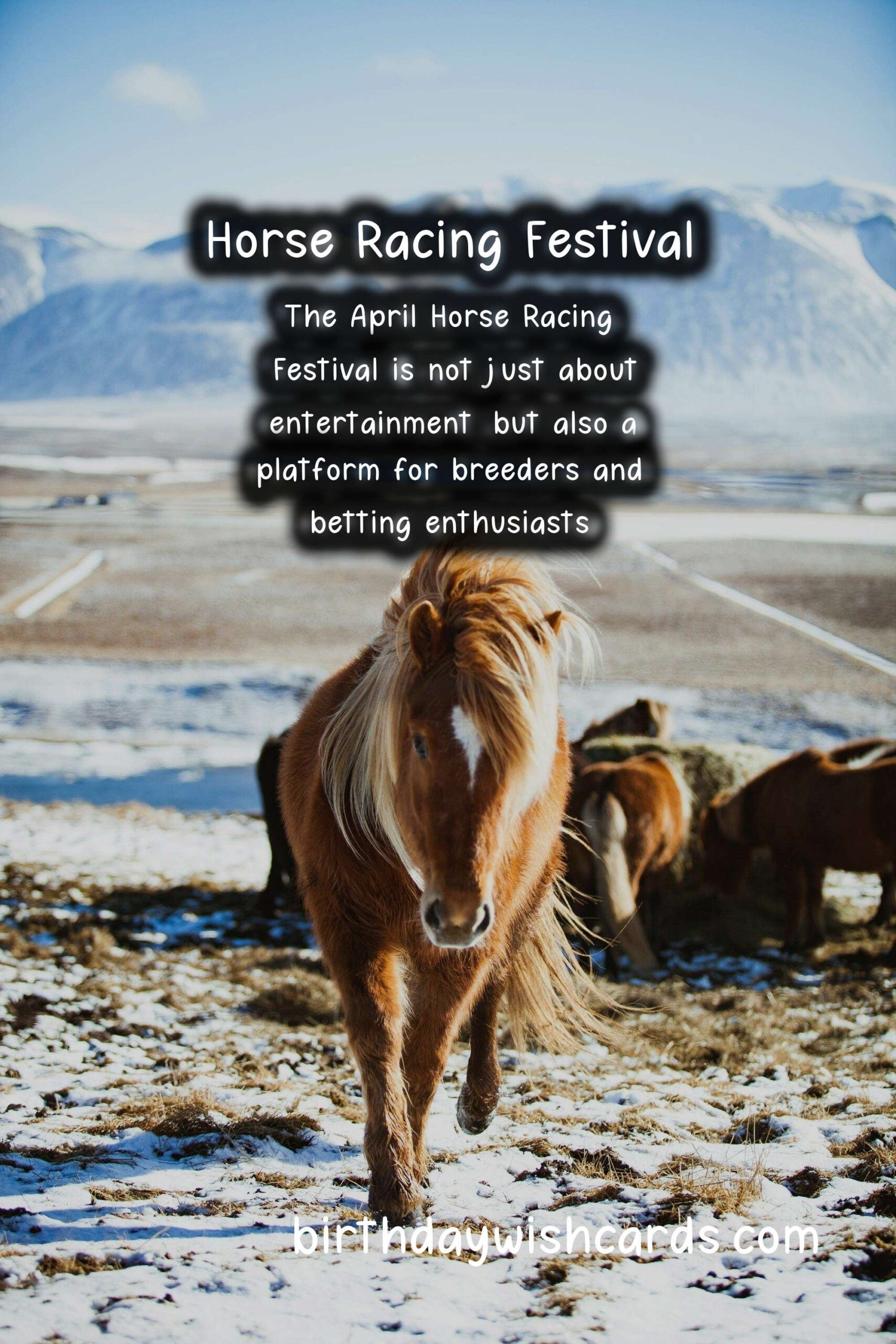 All You Need to Know About the Annual Horse Racing Festival in April