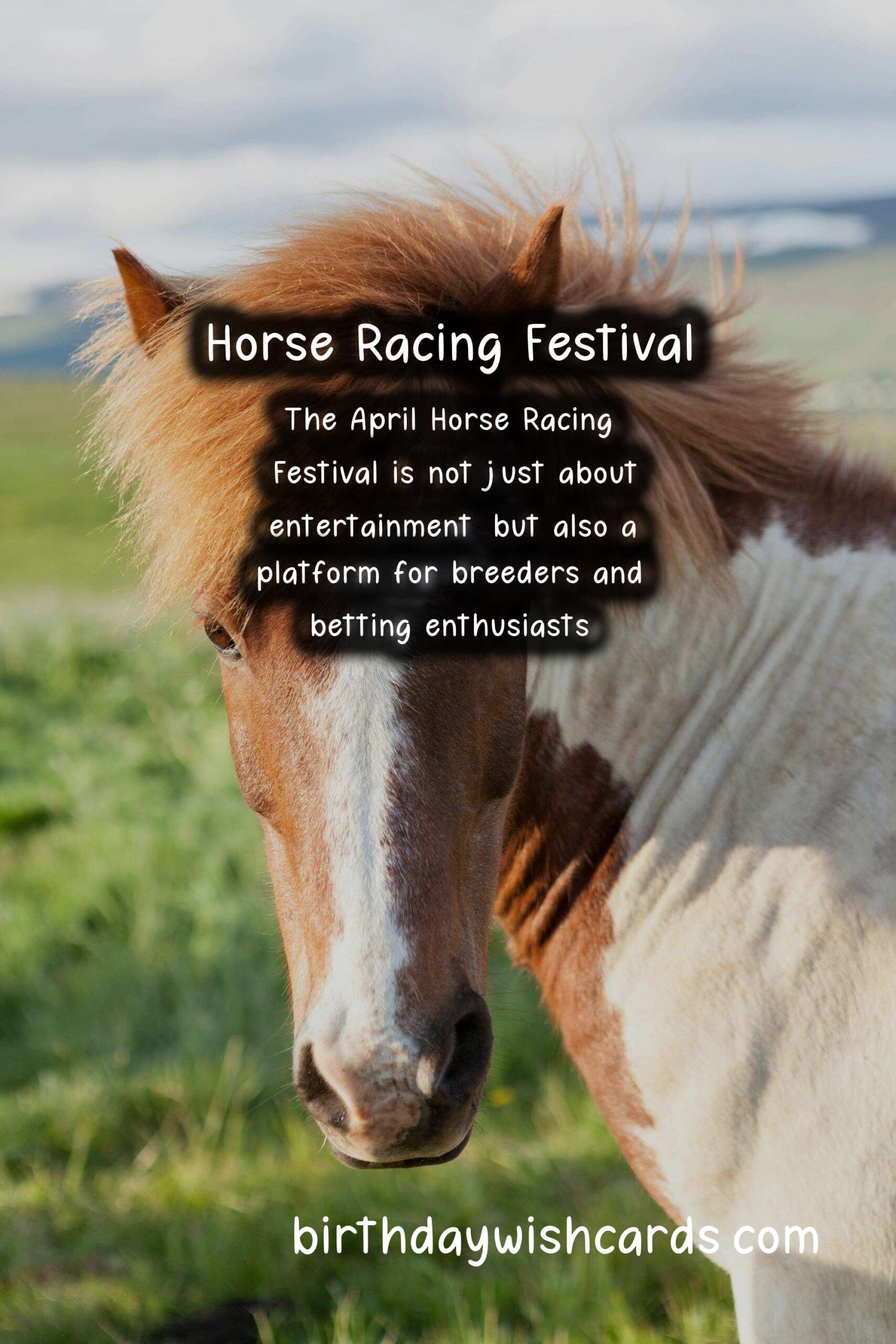 All You Need to Know About the Annual Horse Racing Festival in April